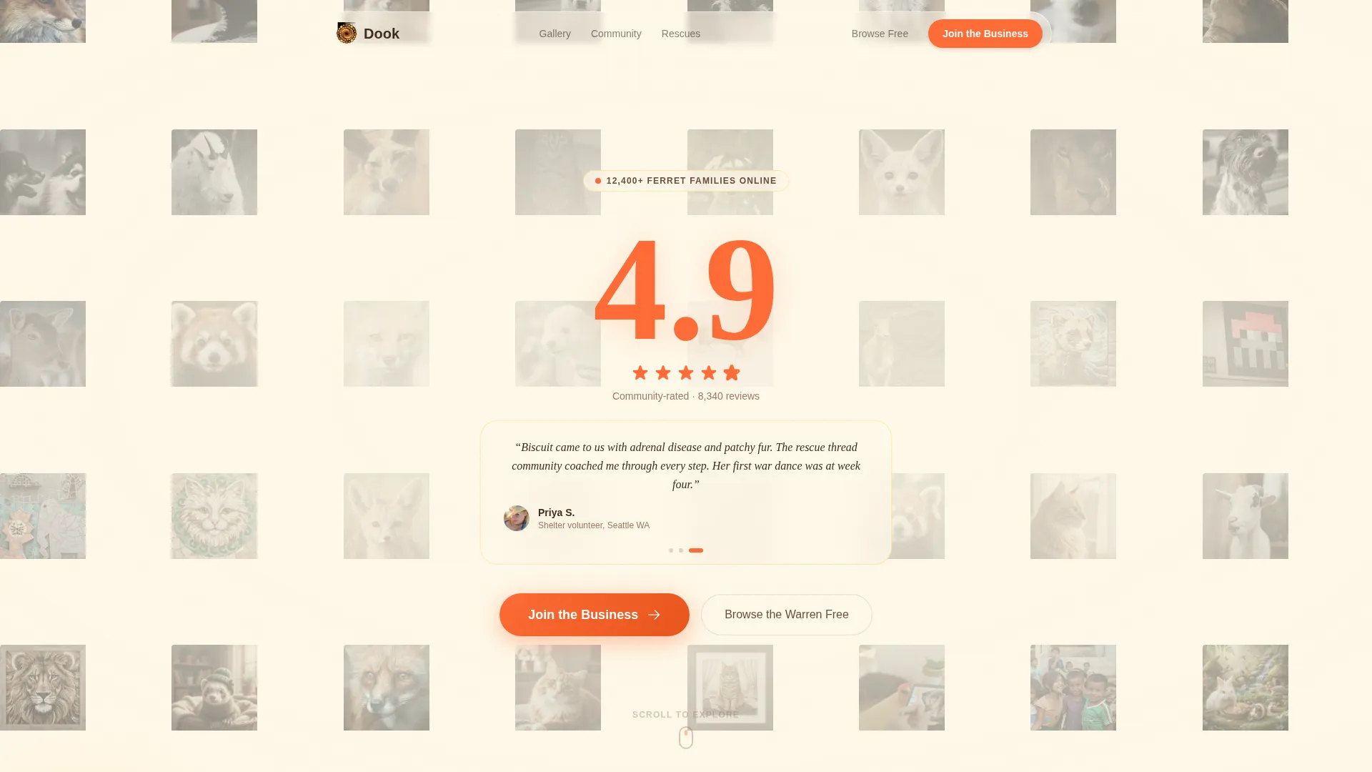 Ferret Community Landing Page Template