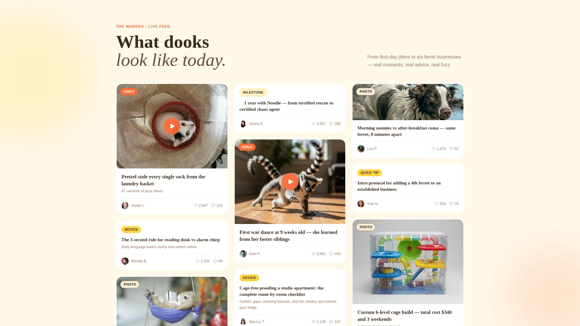 Ferret Community Landing Page Template