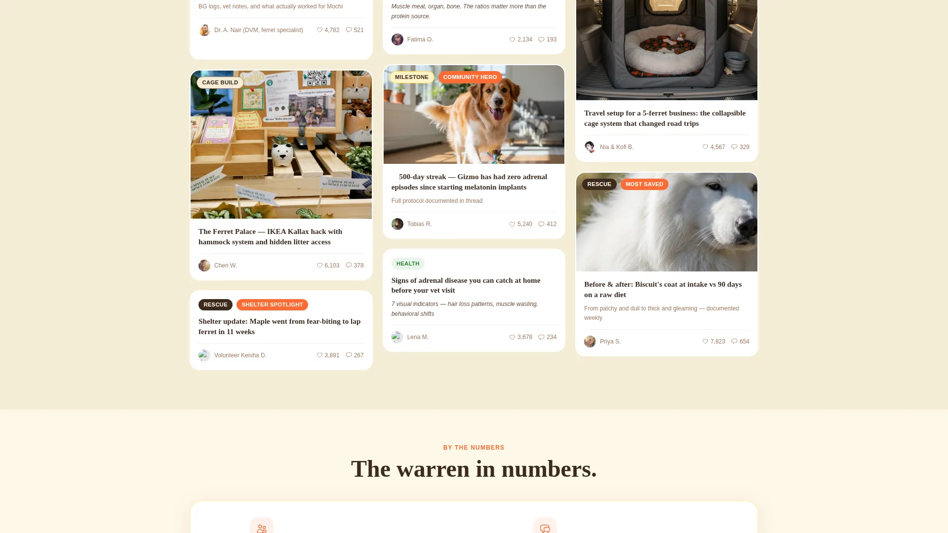 Ferret Community Landing Page Template