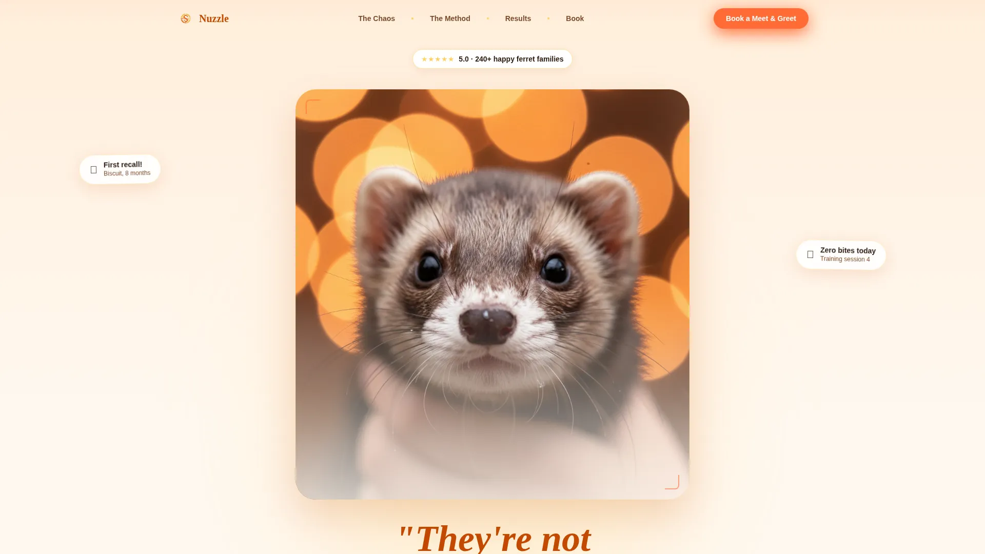 Ferret Training Landing Page Template