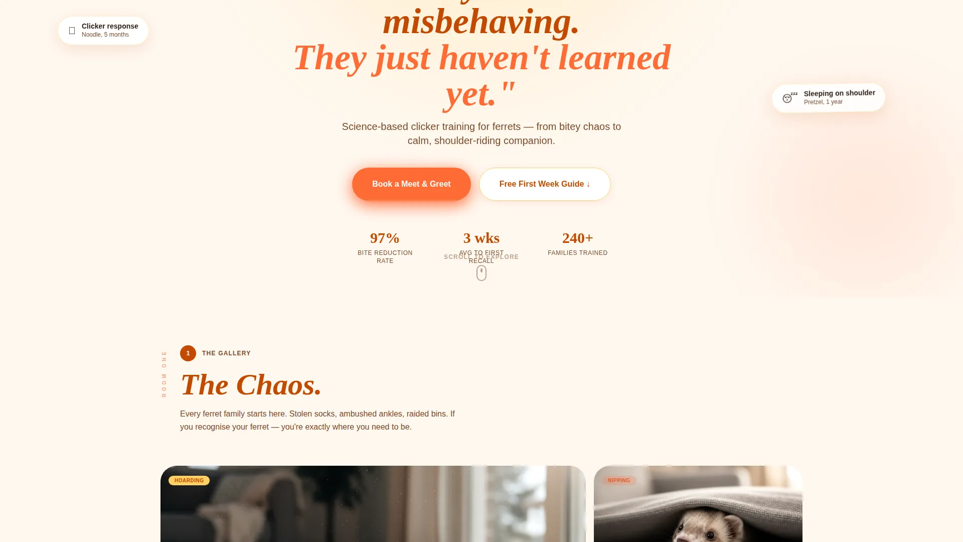 Ferret Training Landing Page Template