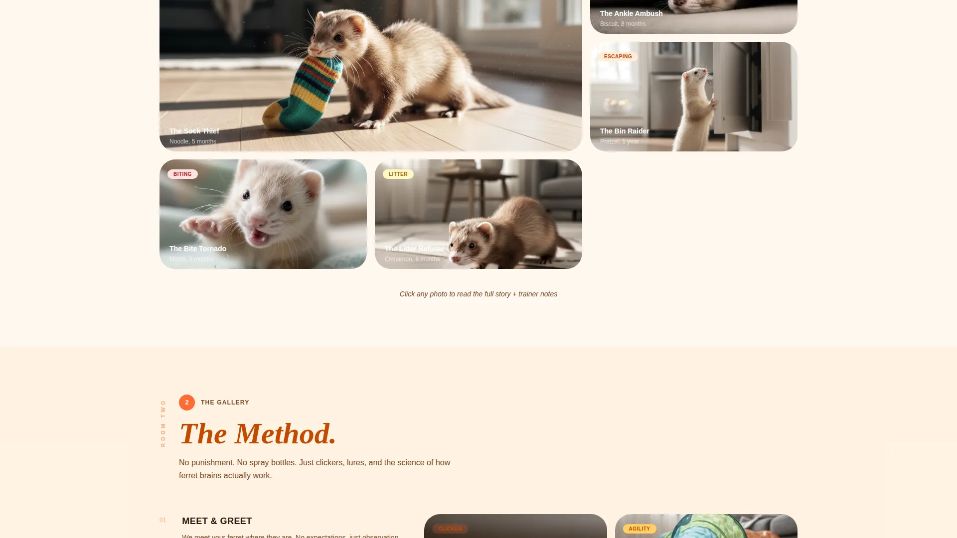 Ferret Training Landing Page Template
