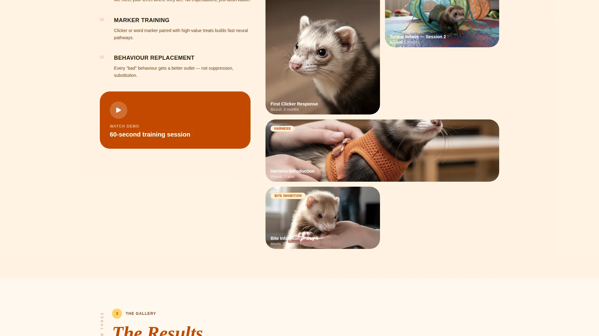 Ferret Training Landing Page Template