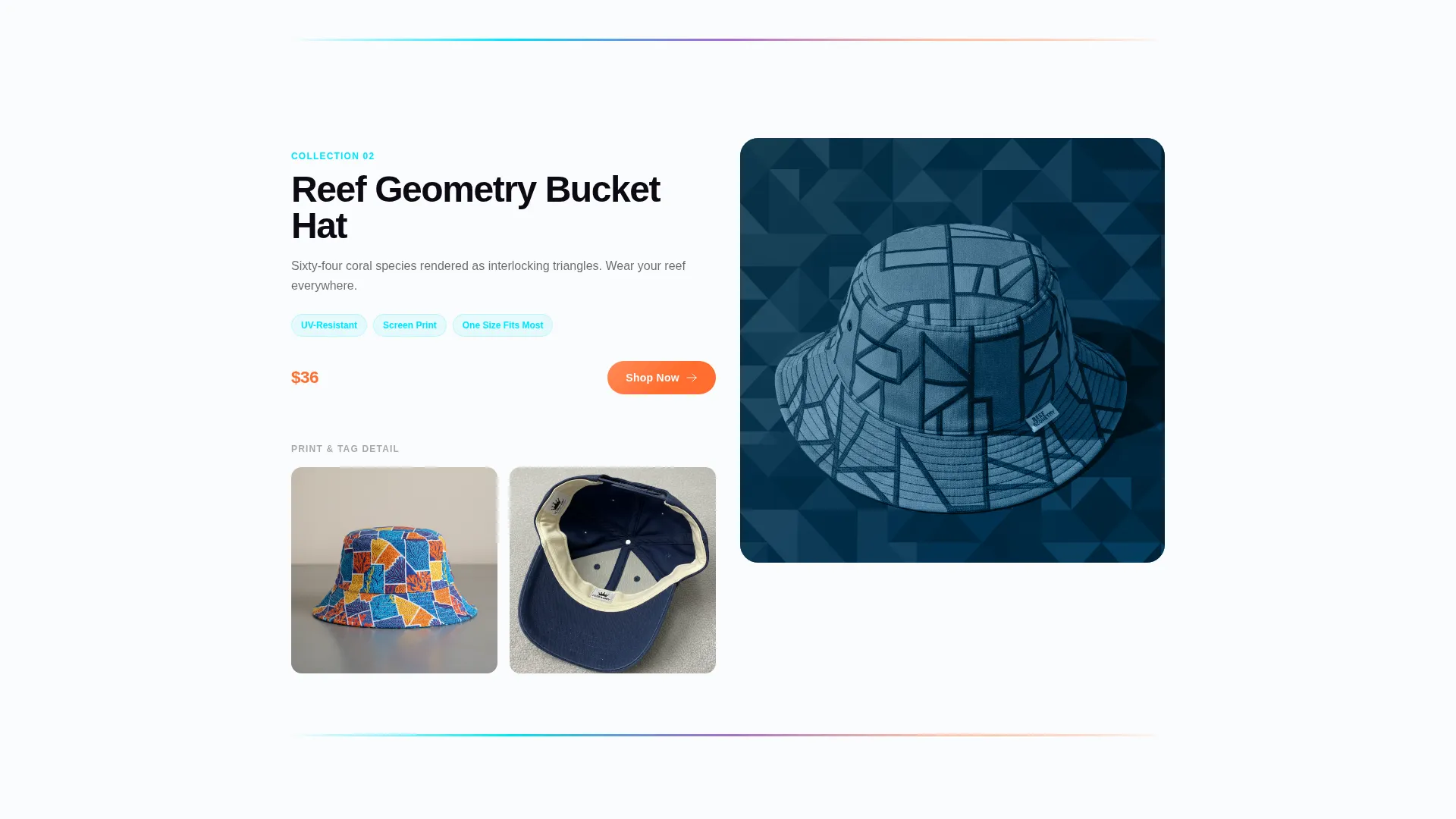 Vivid Aquarium Clothing & Accessories Landing Page