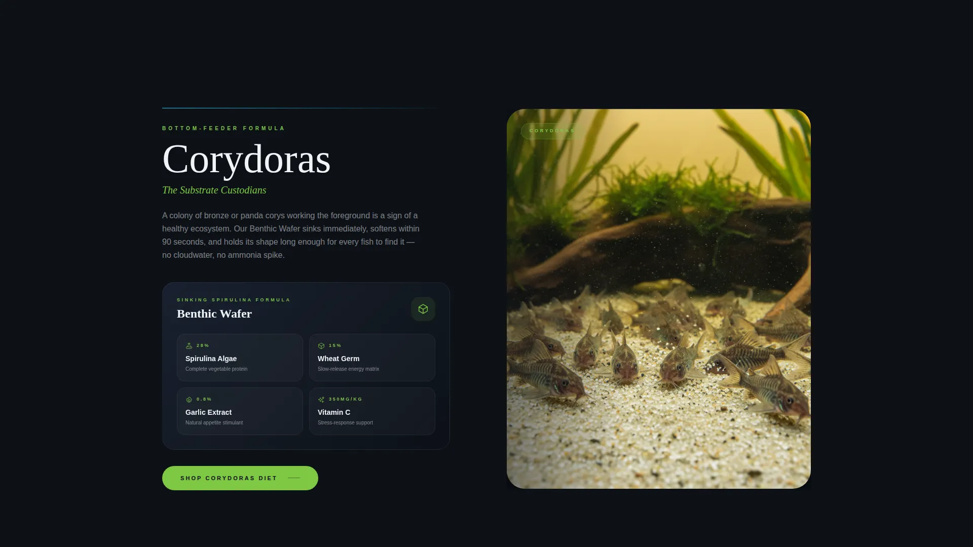 Premium Aquarium Fish Food Landing Page Template