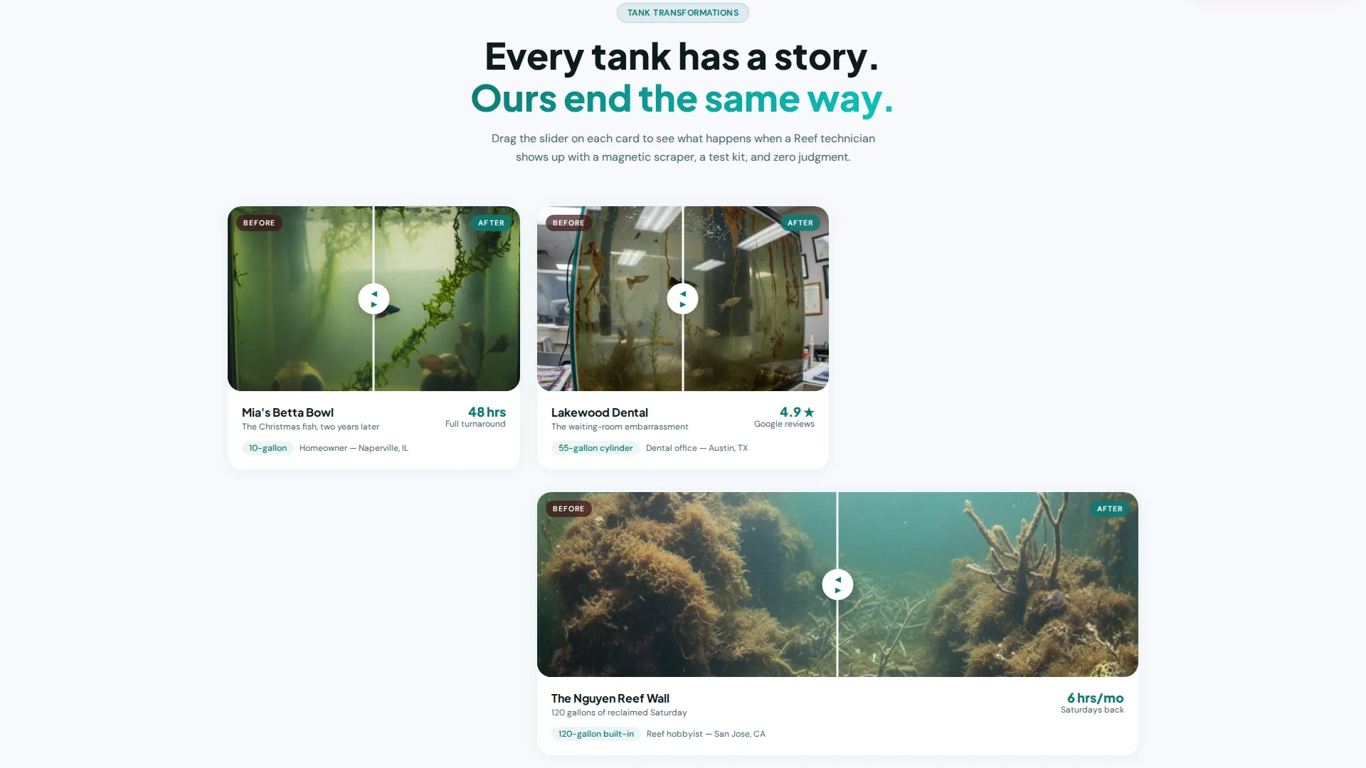 Aquarium Grooming Service Landing Page Template