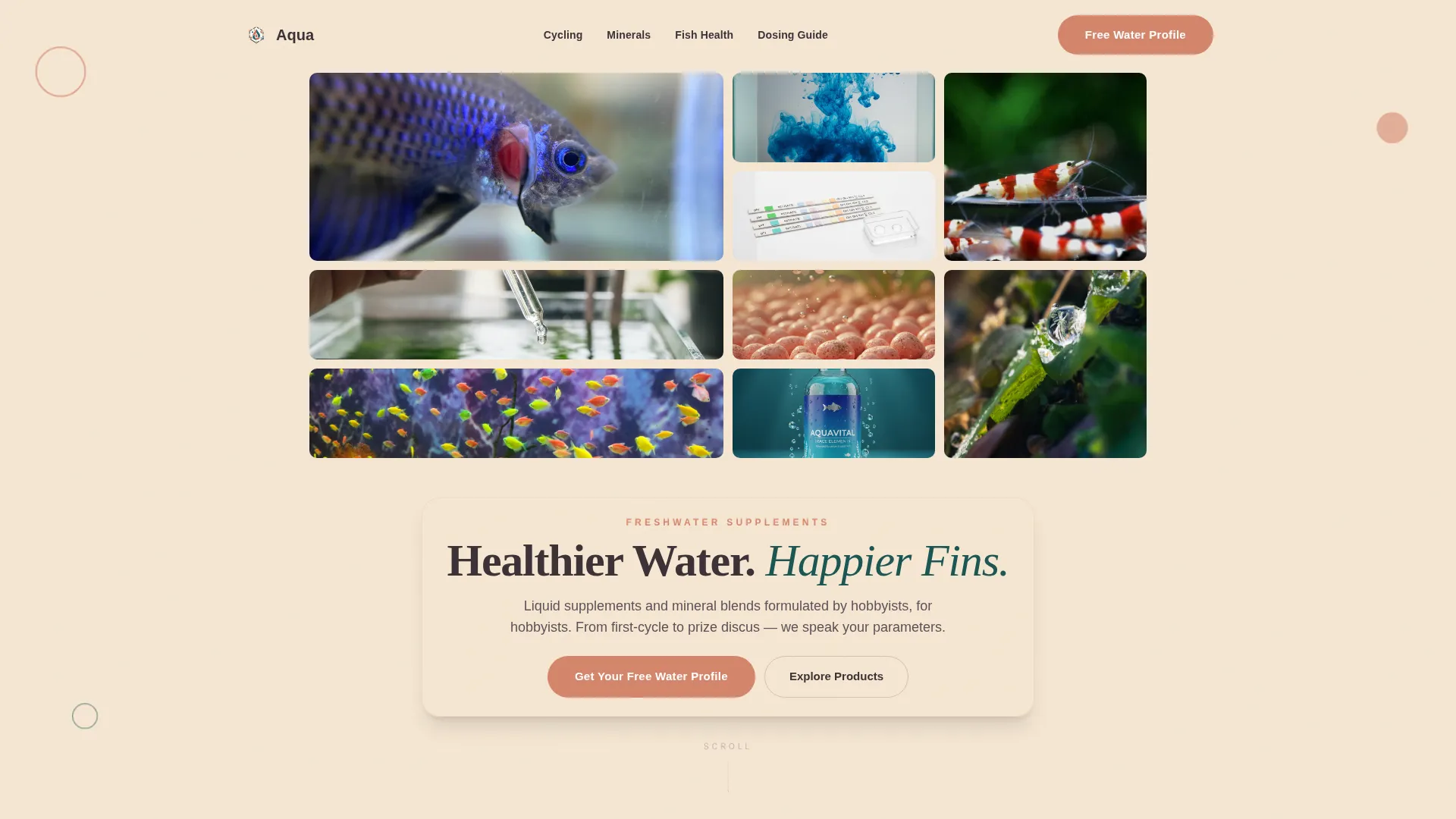 Fish & Aquarium Supplement Landing Page Template