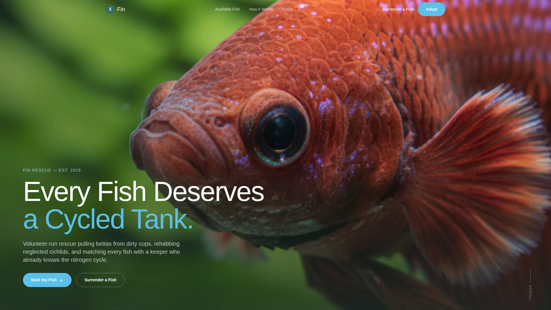 Fish Rescue & Adoption Masonry Landing Page Template