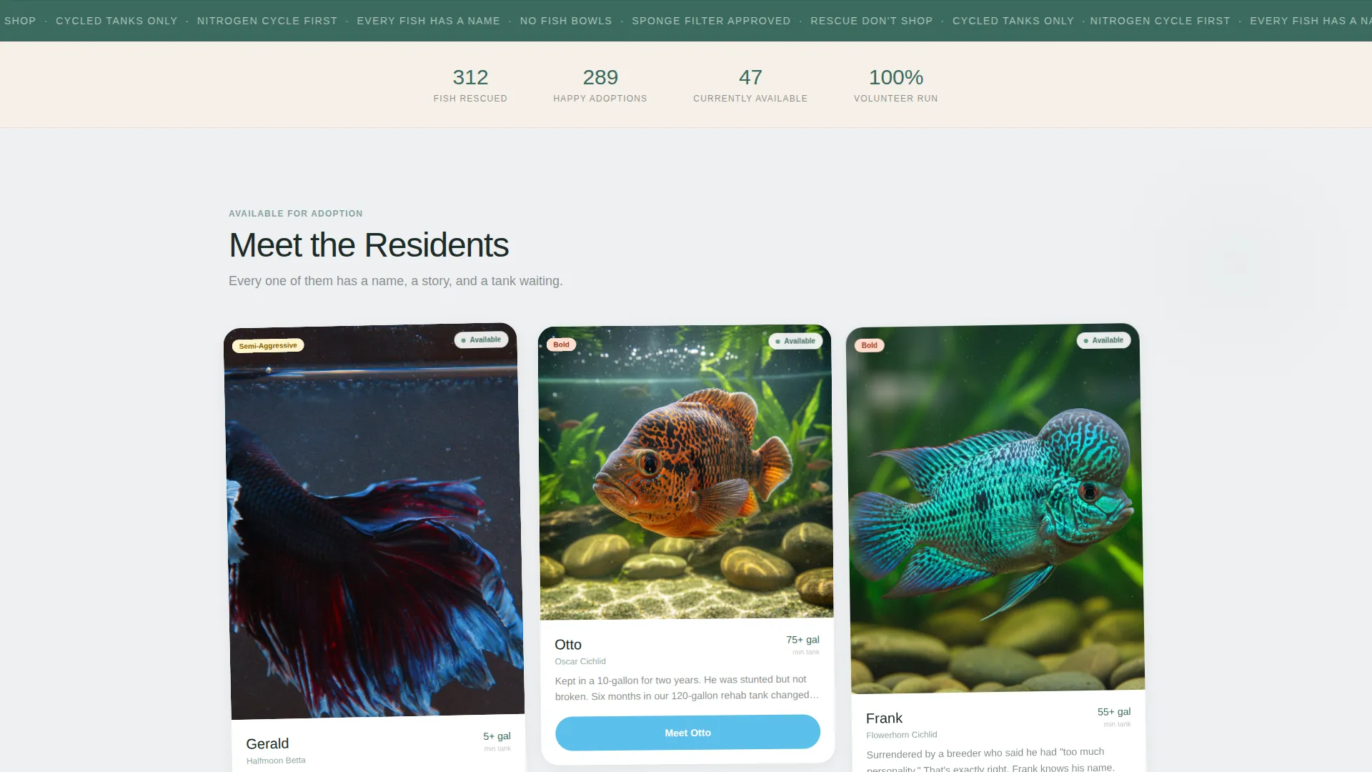 Fish Rescue & Adoption Masonry Landing Page Template