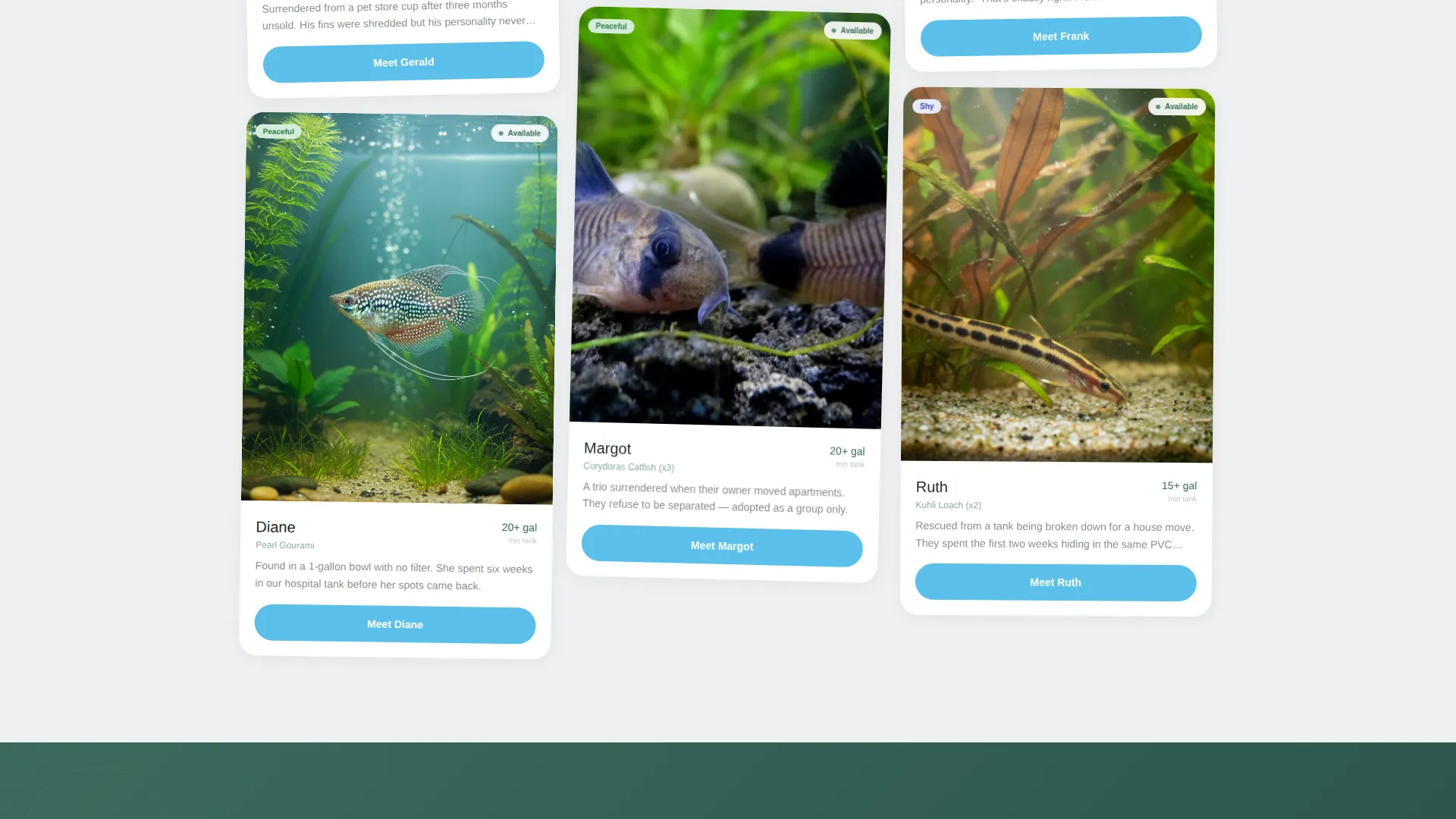 Fish Rescue & Adoption Masonry Landing Page Template