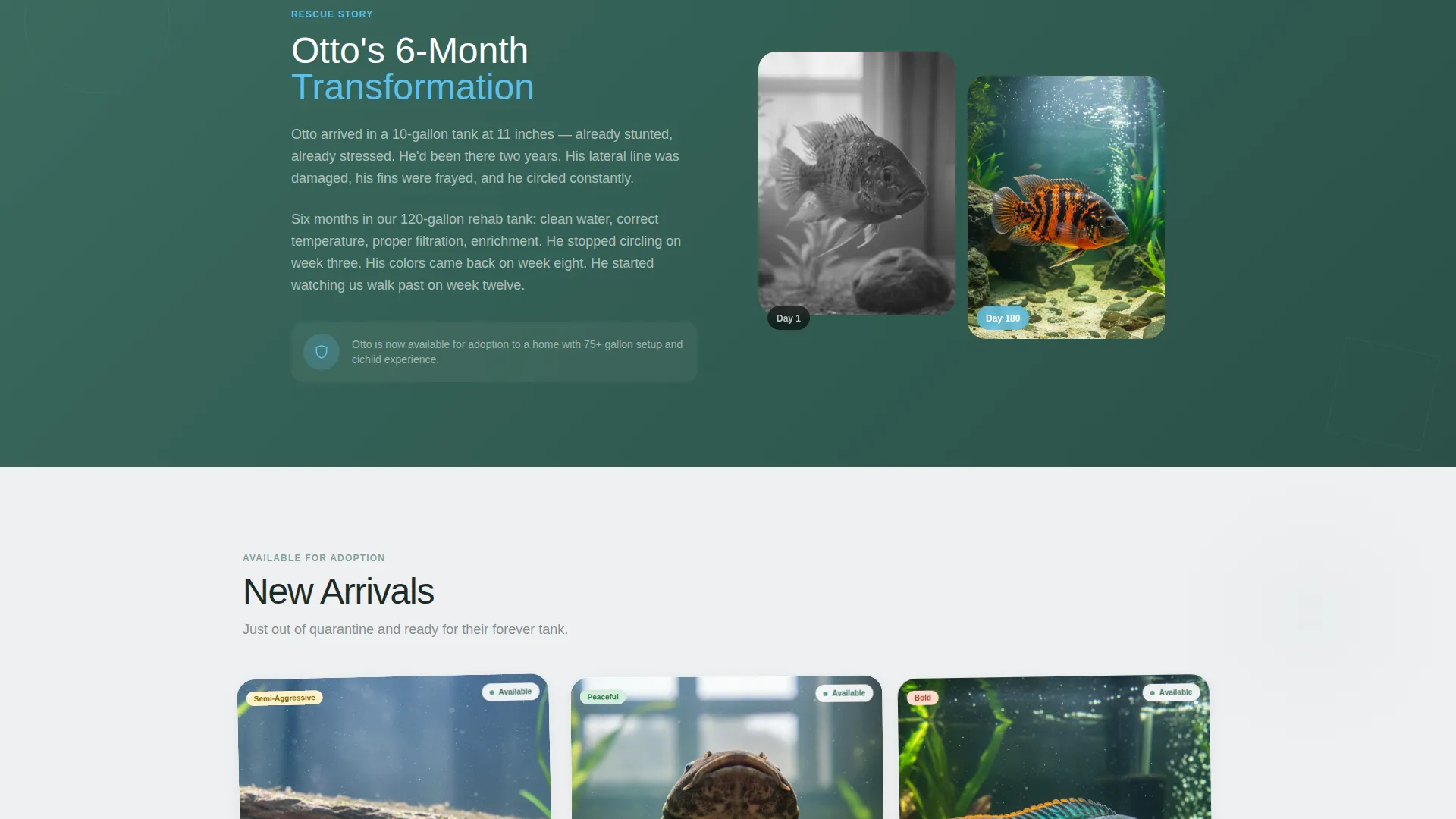 Fish Rescue & Adoption Masonry Landing Page Template