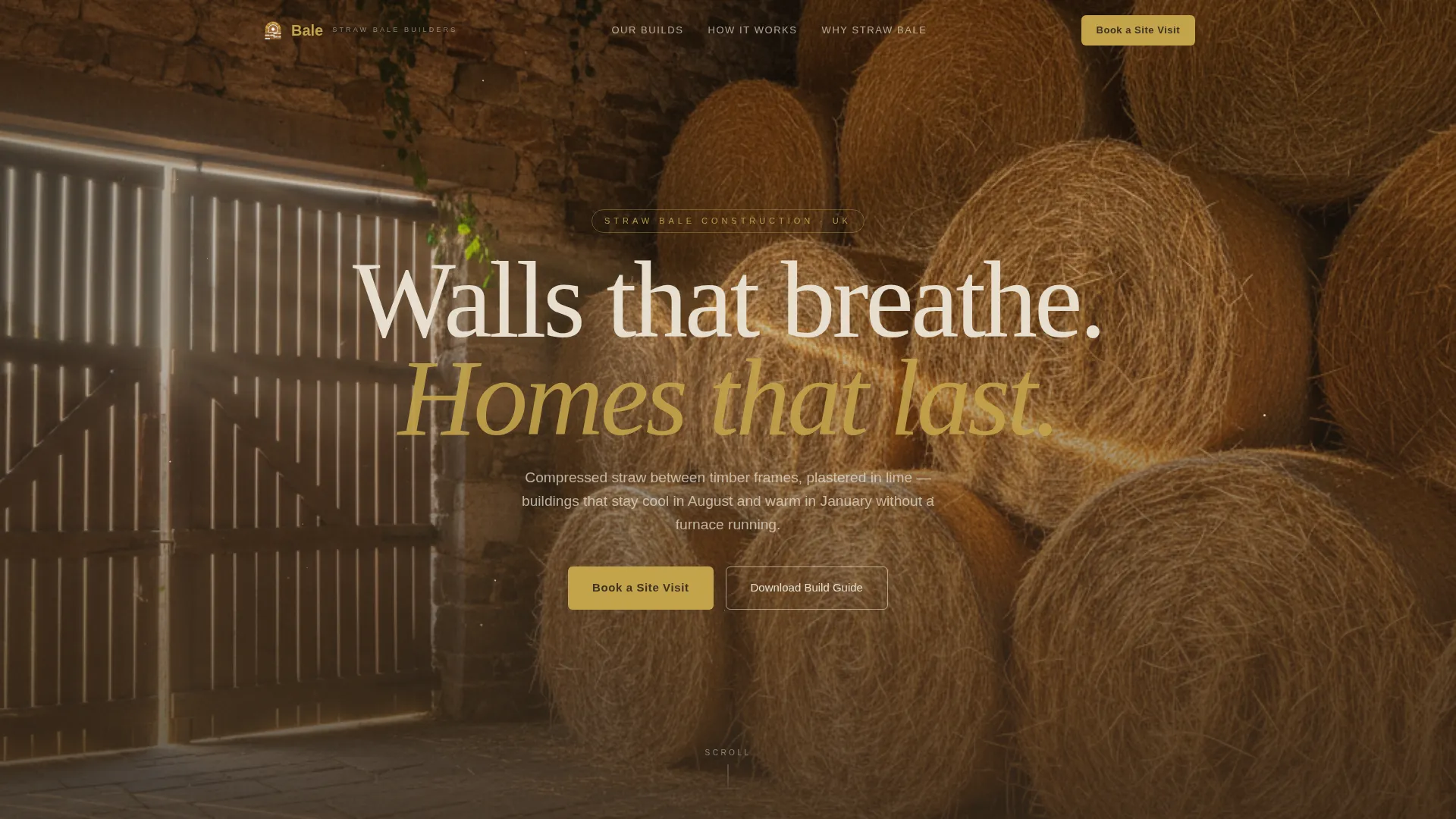 Local Specialty Construction Appointment Booking Website Template