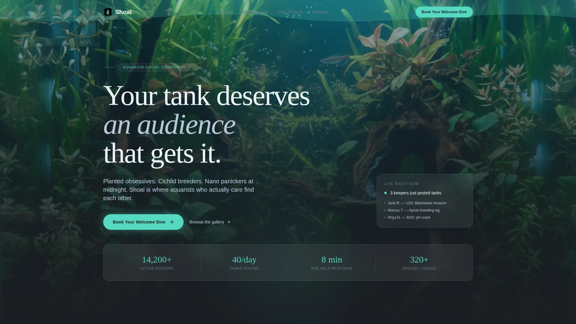 Aquarium Community Landing Page Template