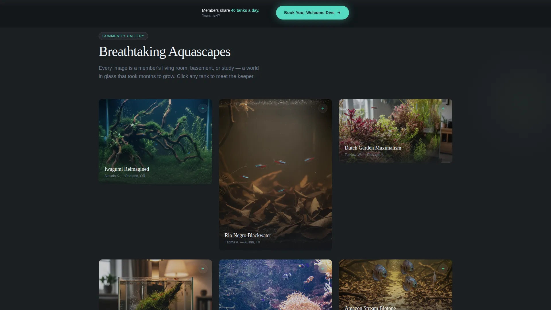 Aquarium Community Landing Page Template