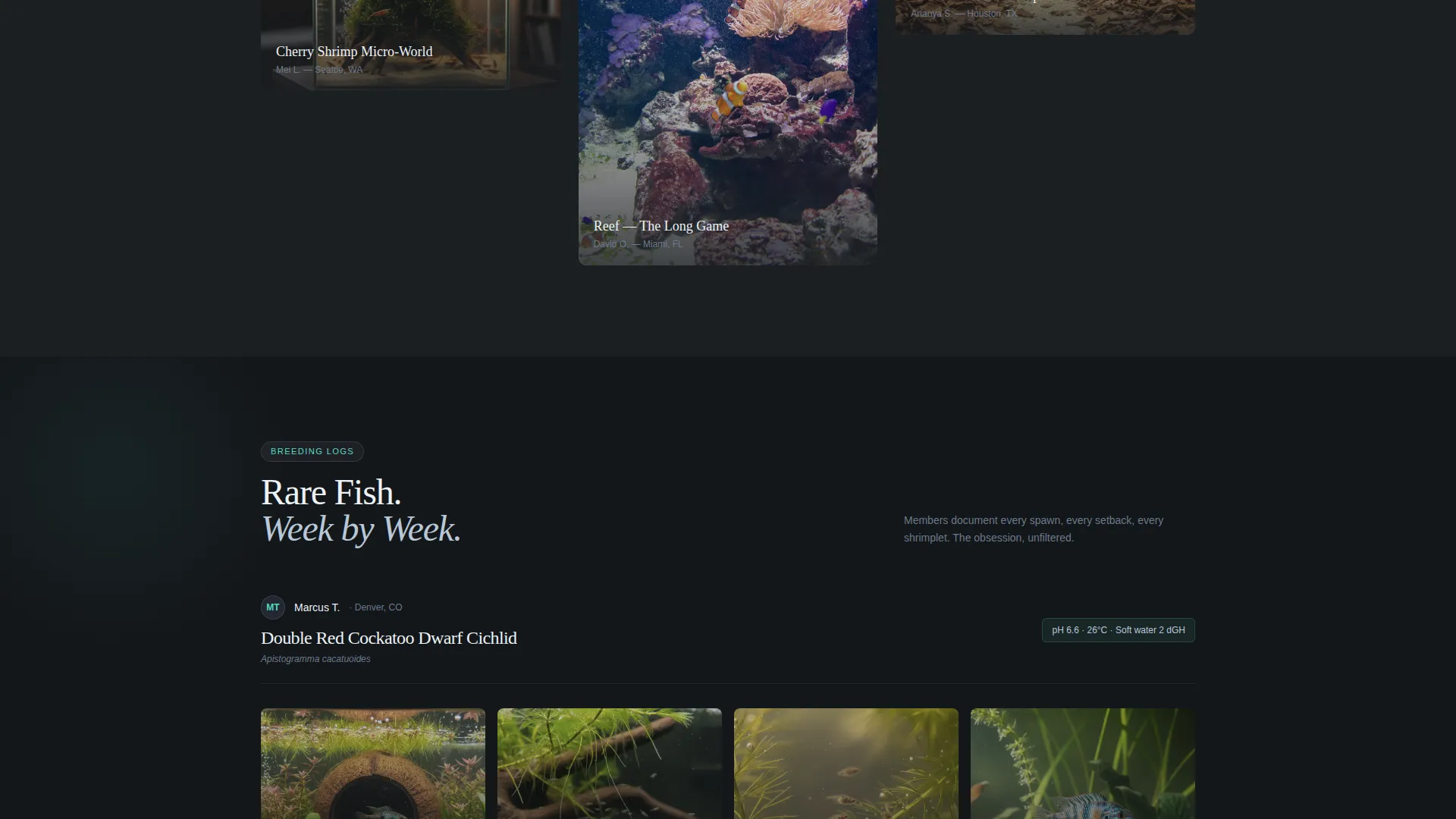 Aquarium Community Landing Page Template