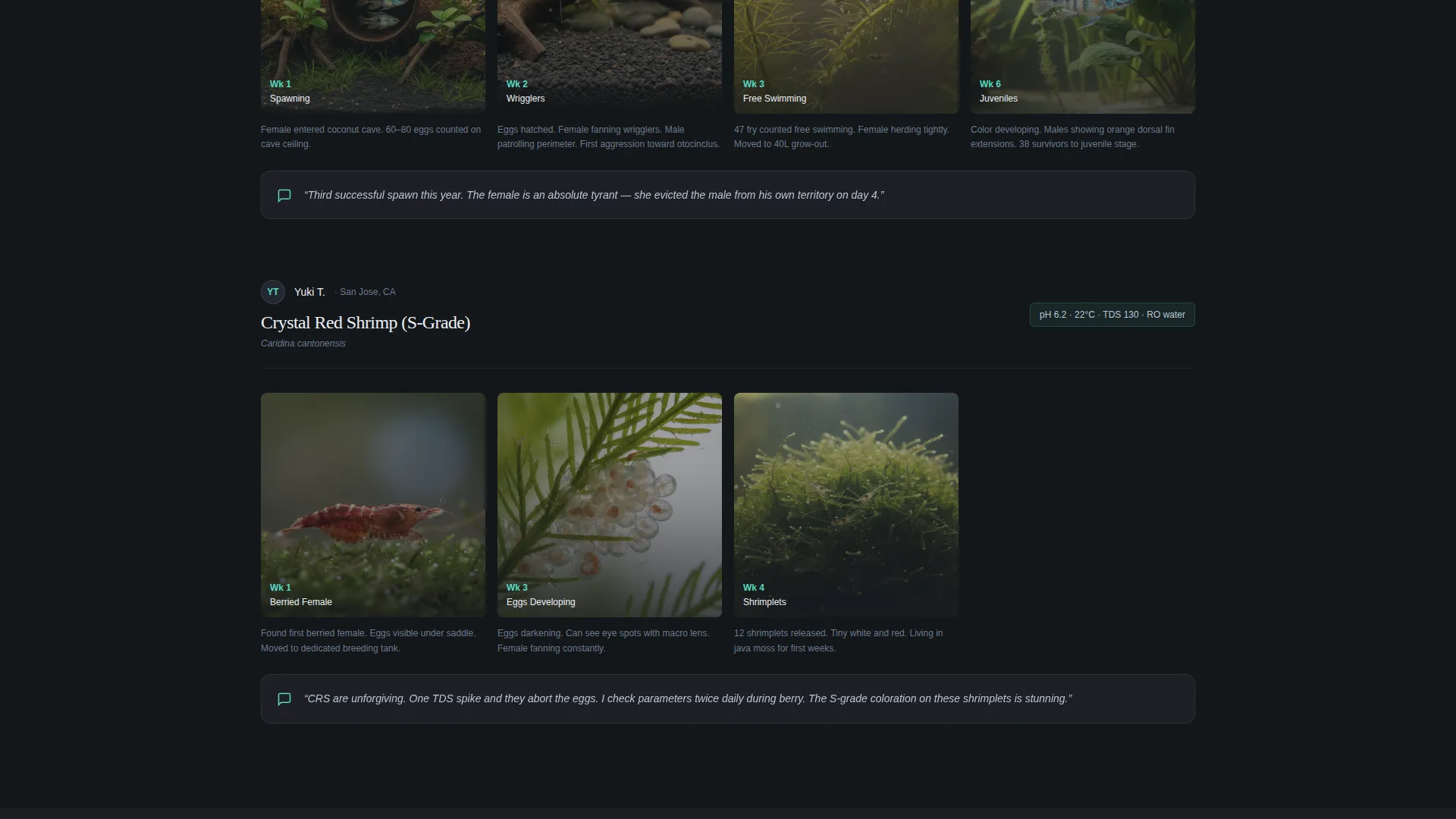 Aquarium Community Landing Page Template