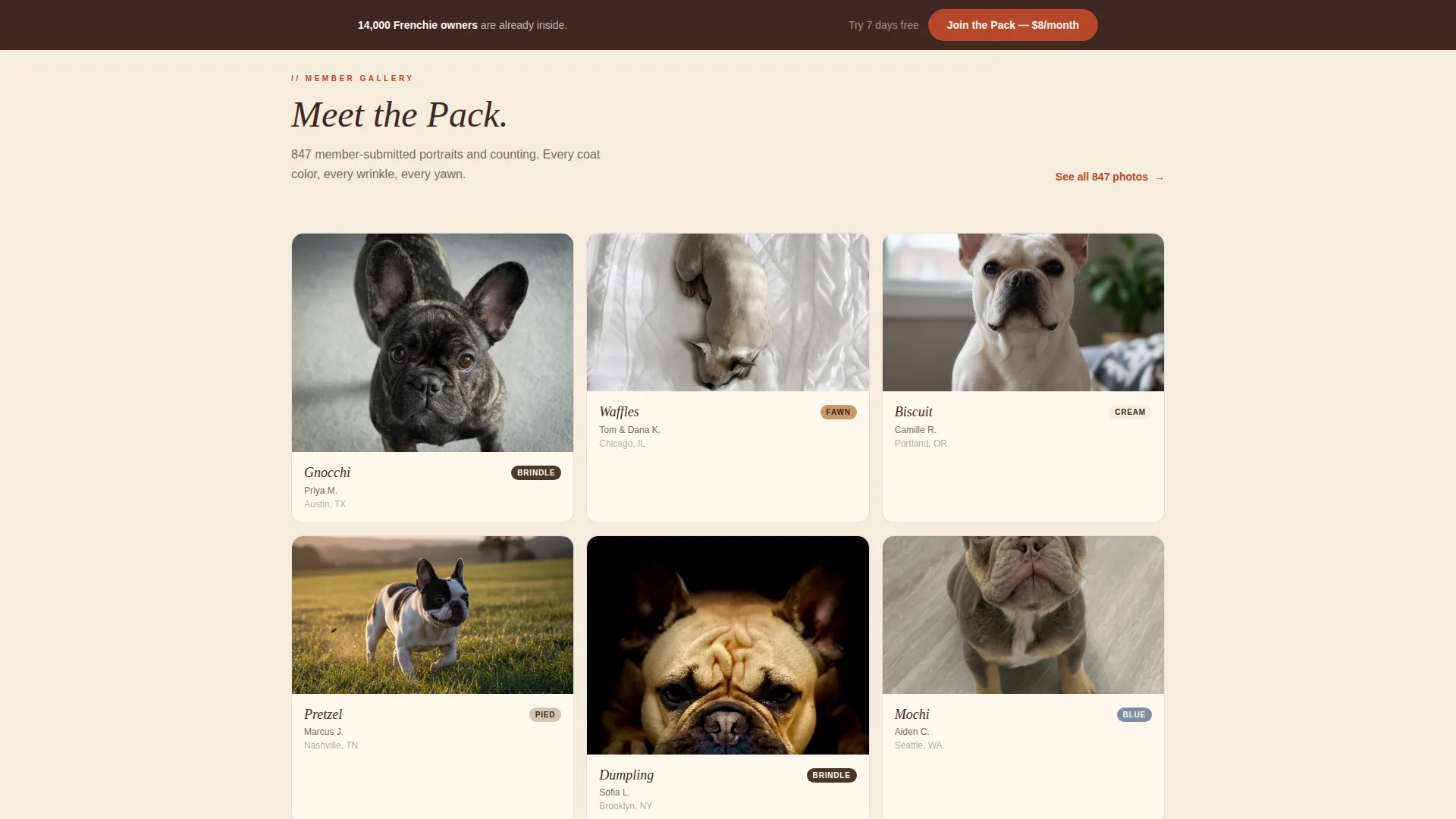French Bulldog Community Landing Page Template
