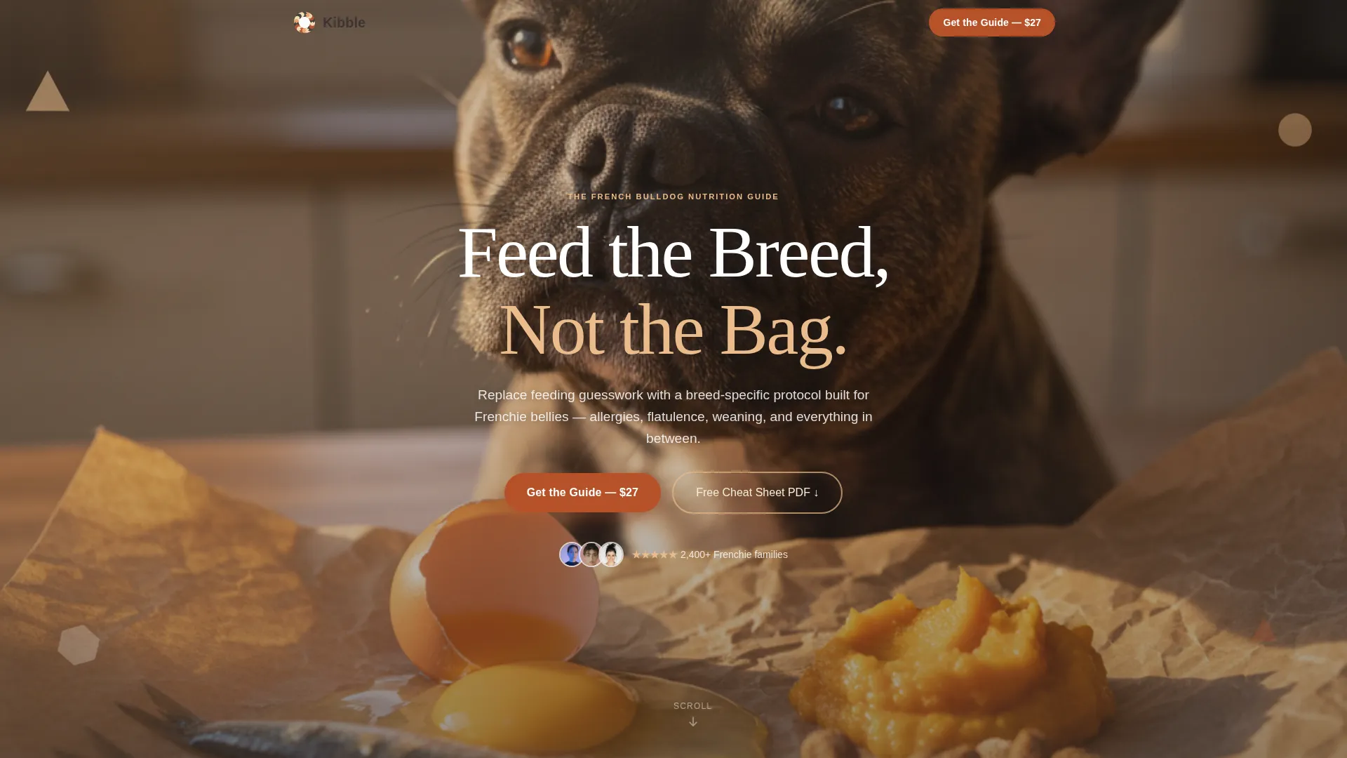 French Bulldog Nutrition Guide Landing Page Template