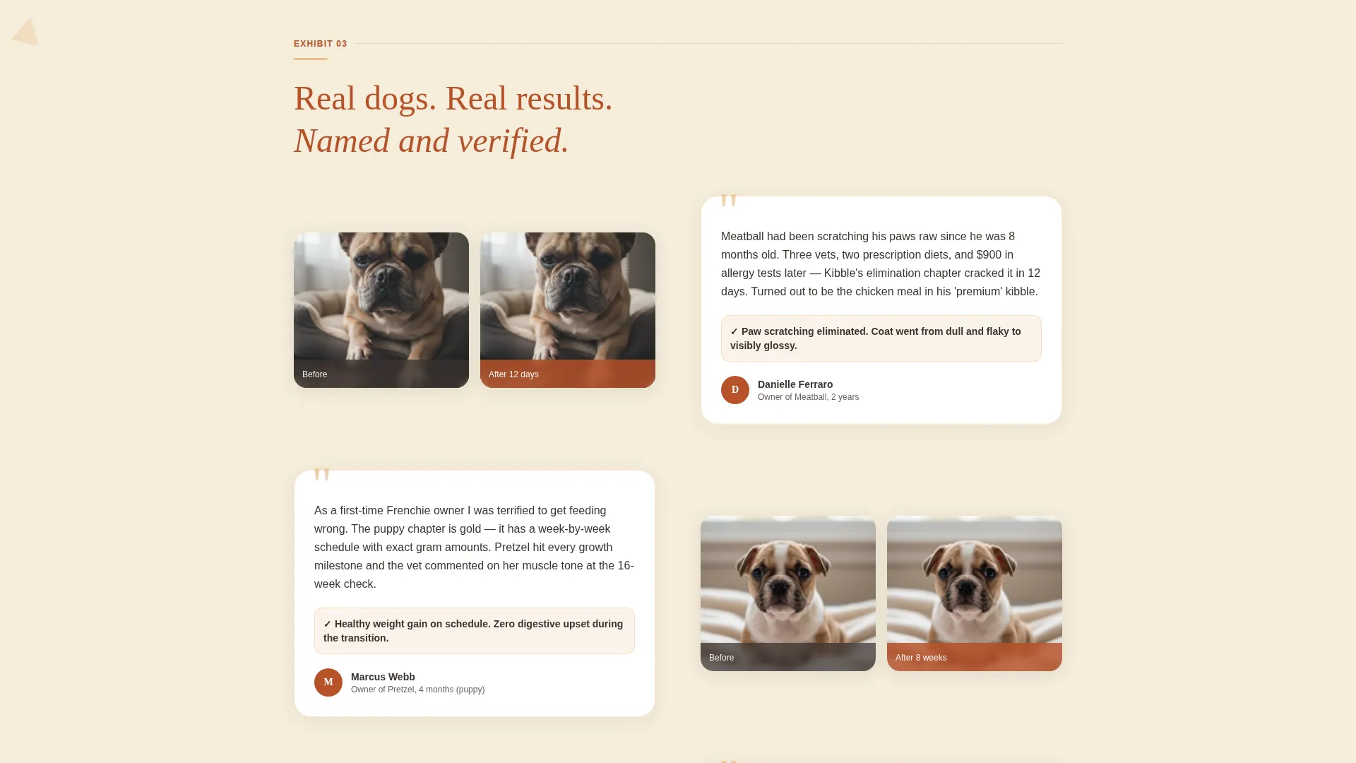 French Bulldog Nutrition Guide Landing Page Template