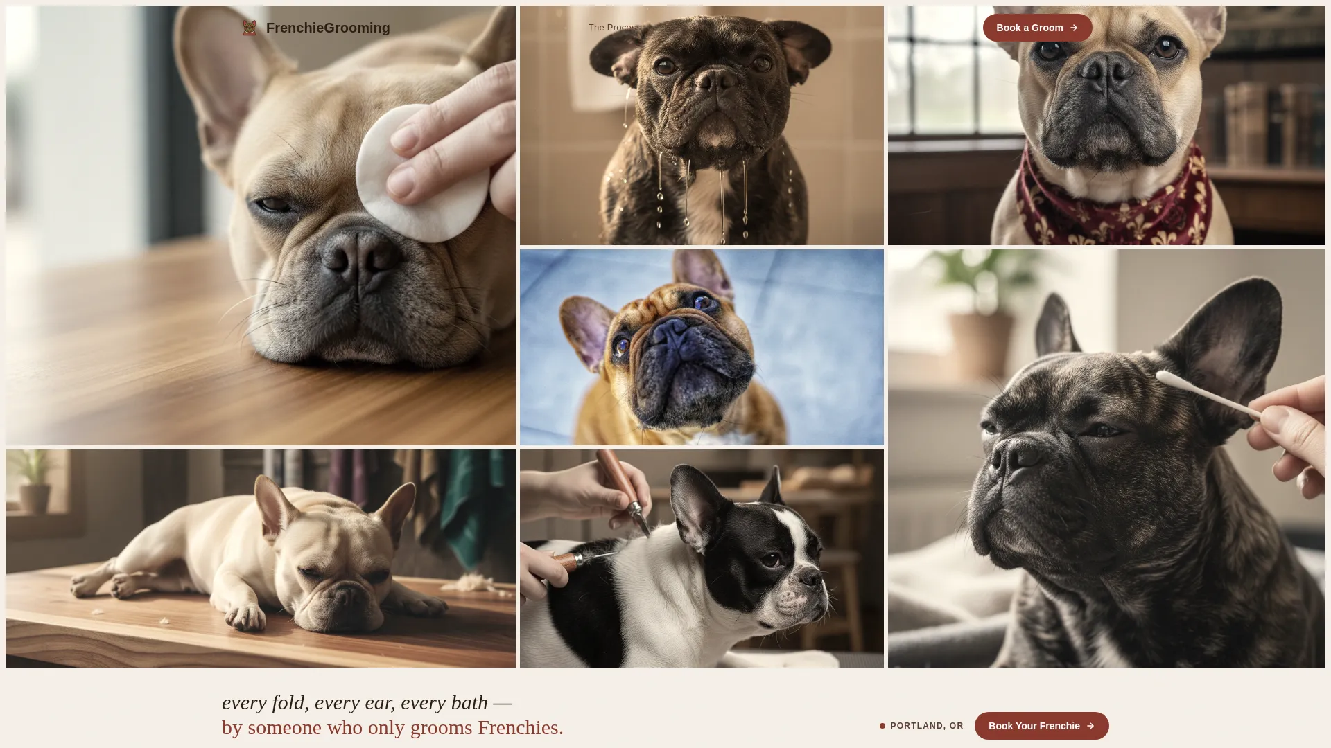 French Bulldog Grooming Specialist Landing Page