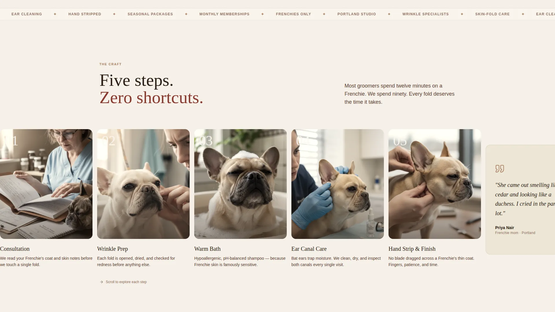 French Bulldog Grooming Specialist Landing Page