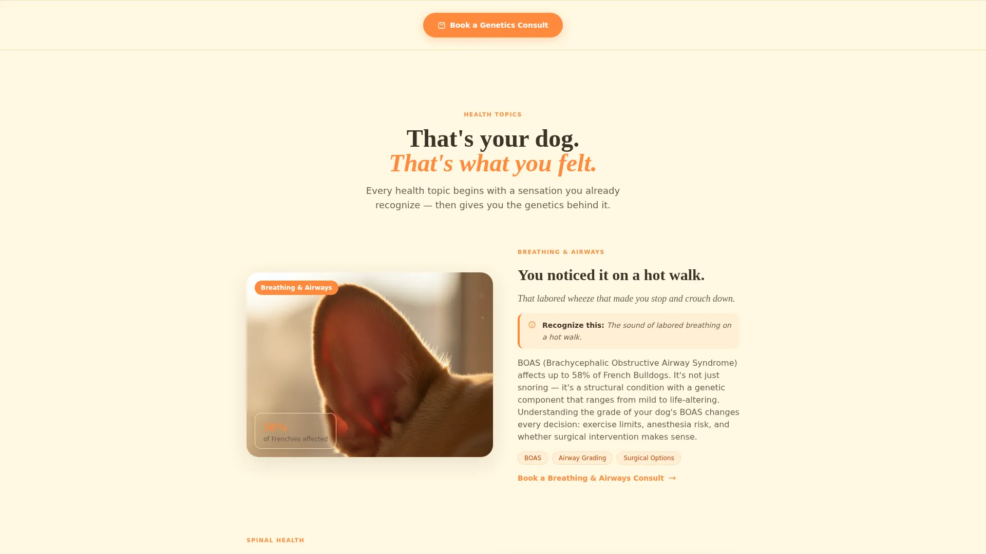 Genetics Blog Landing Page Template | Citrus Burst