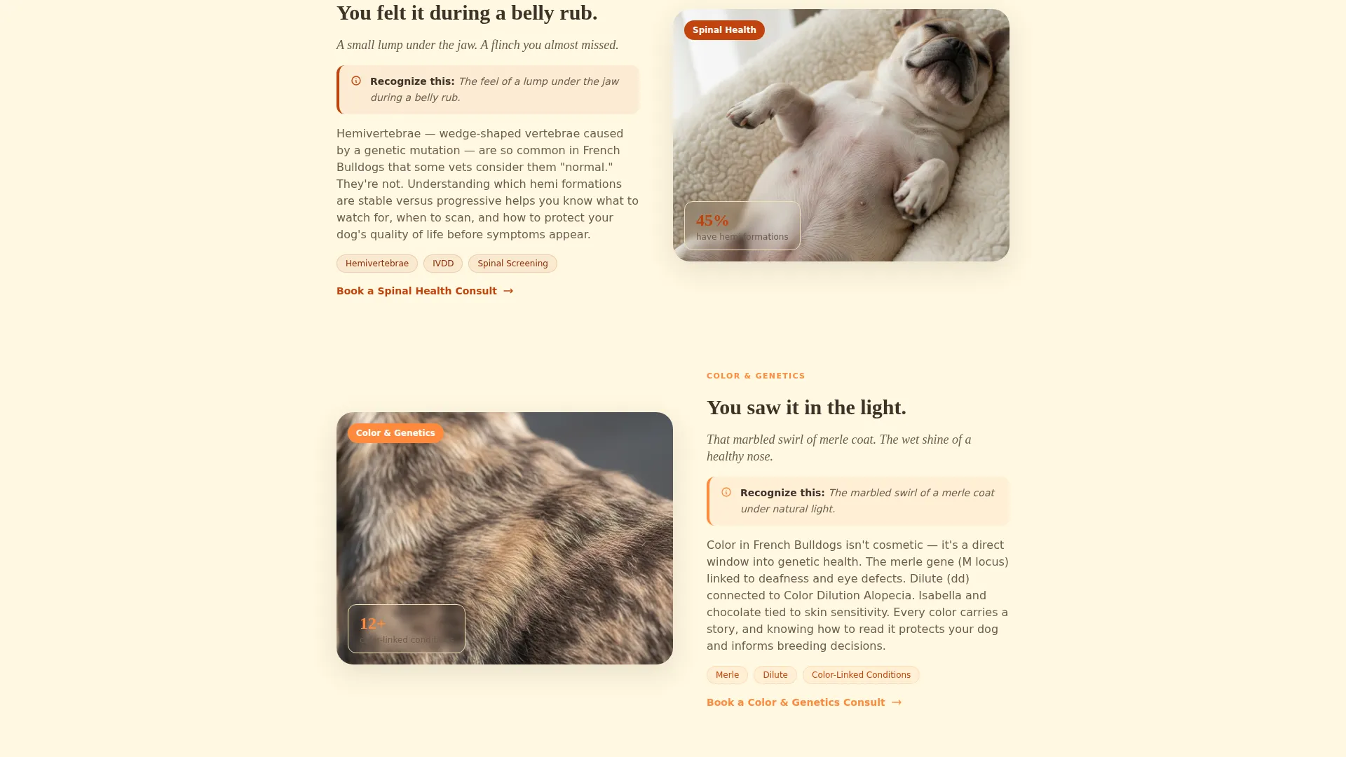 Genetics Blog Landing Page Template | Citrus Burst