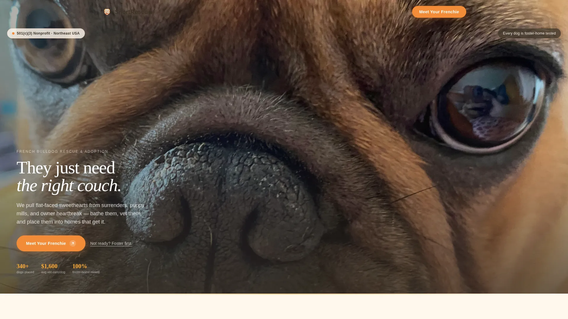 French Bulldog Rescue Landing Page Template