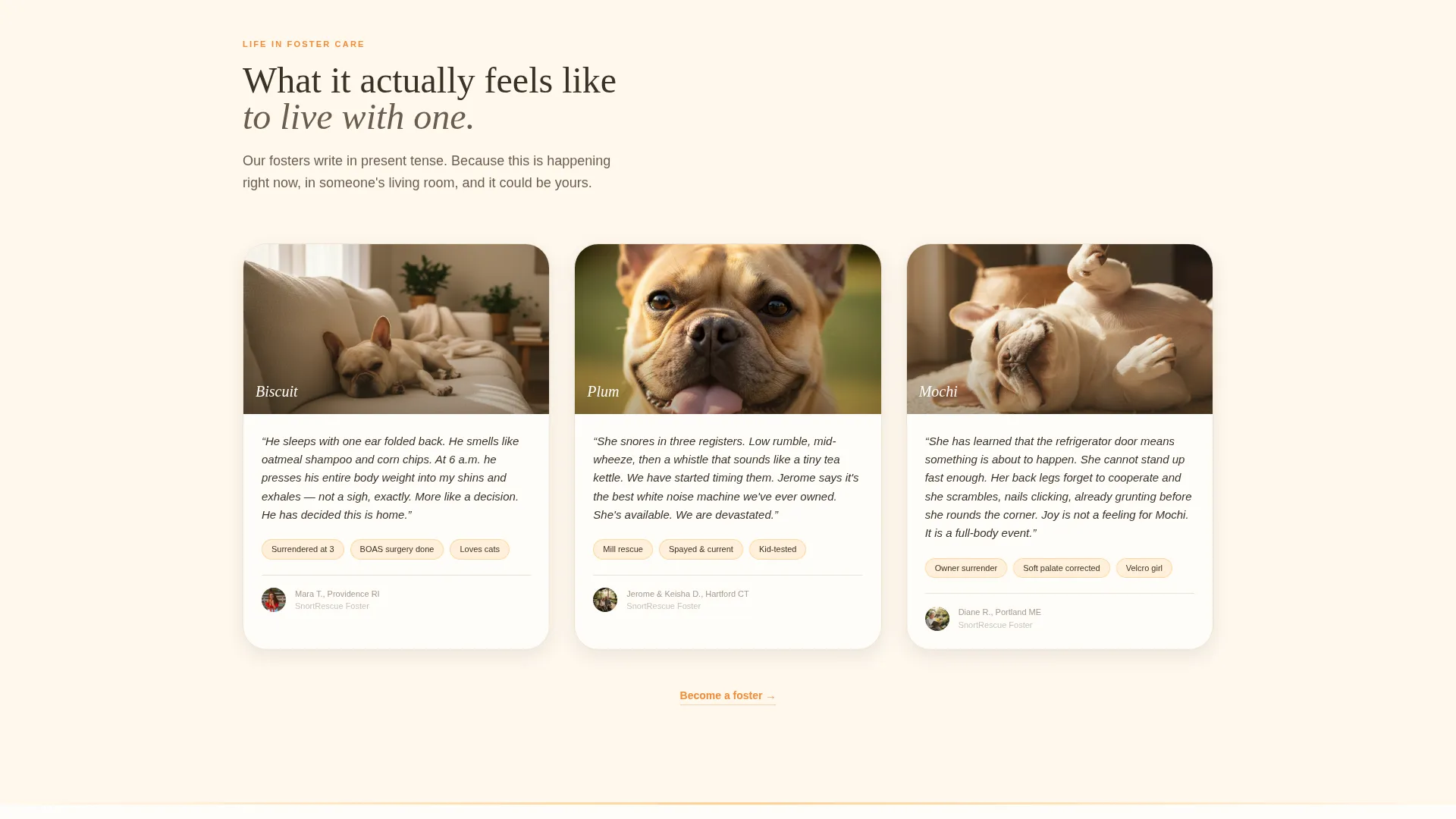 French Bulldog Rescue Landing Page Template