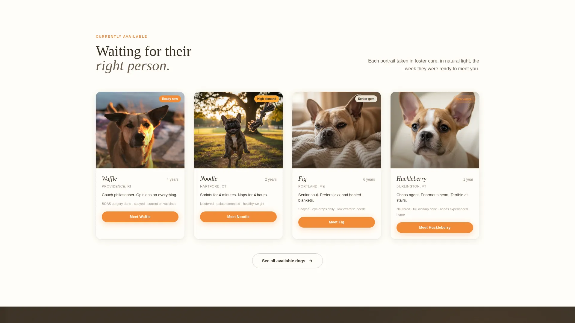 French Bulldog Rescue Landing Page Template