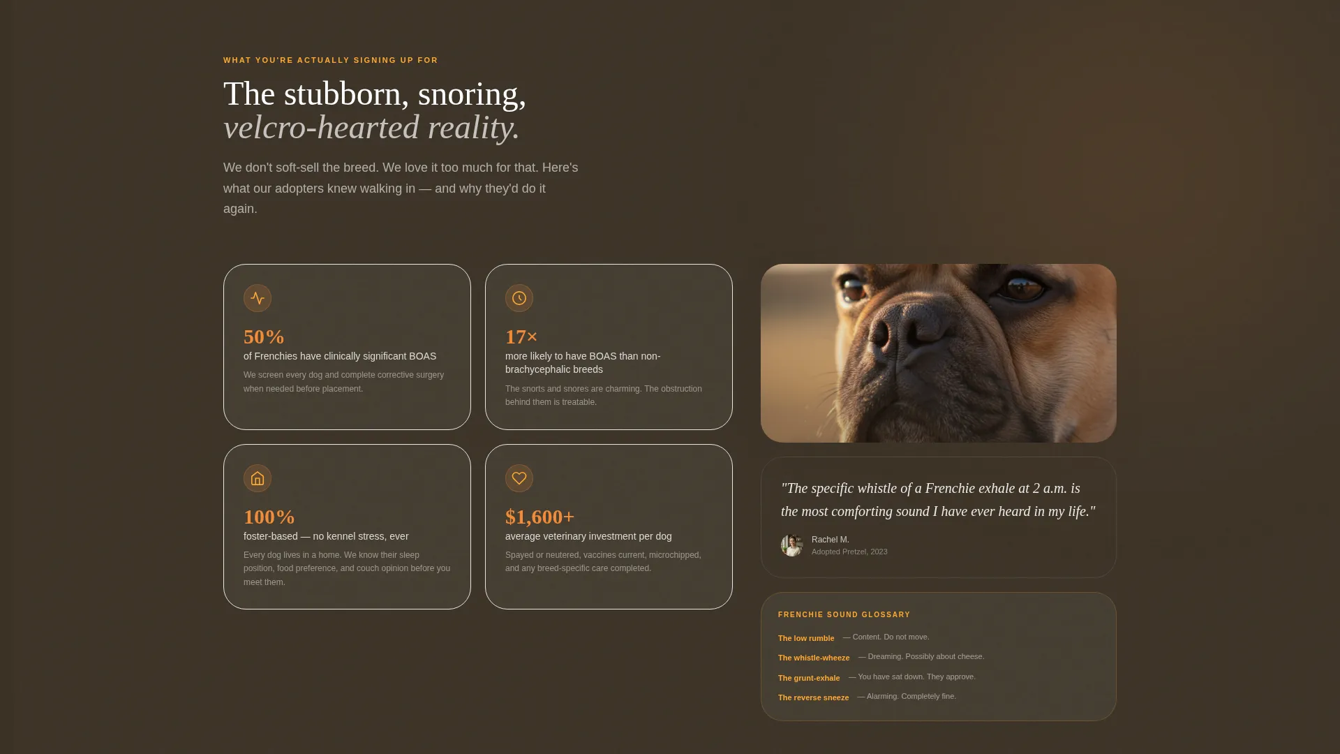 French Bulldog Rescue Landing Page Template