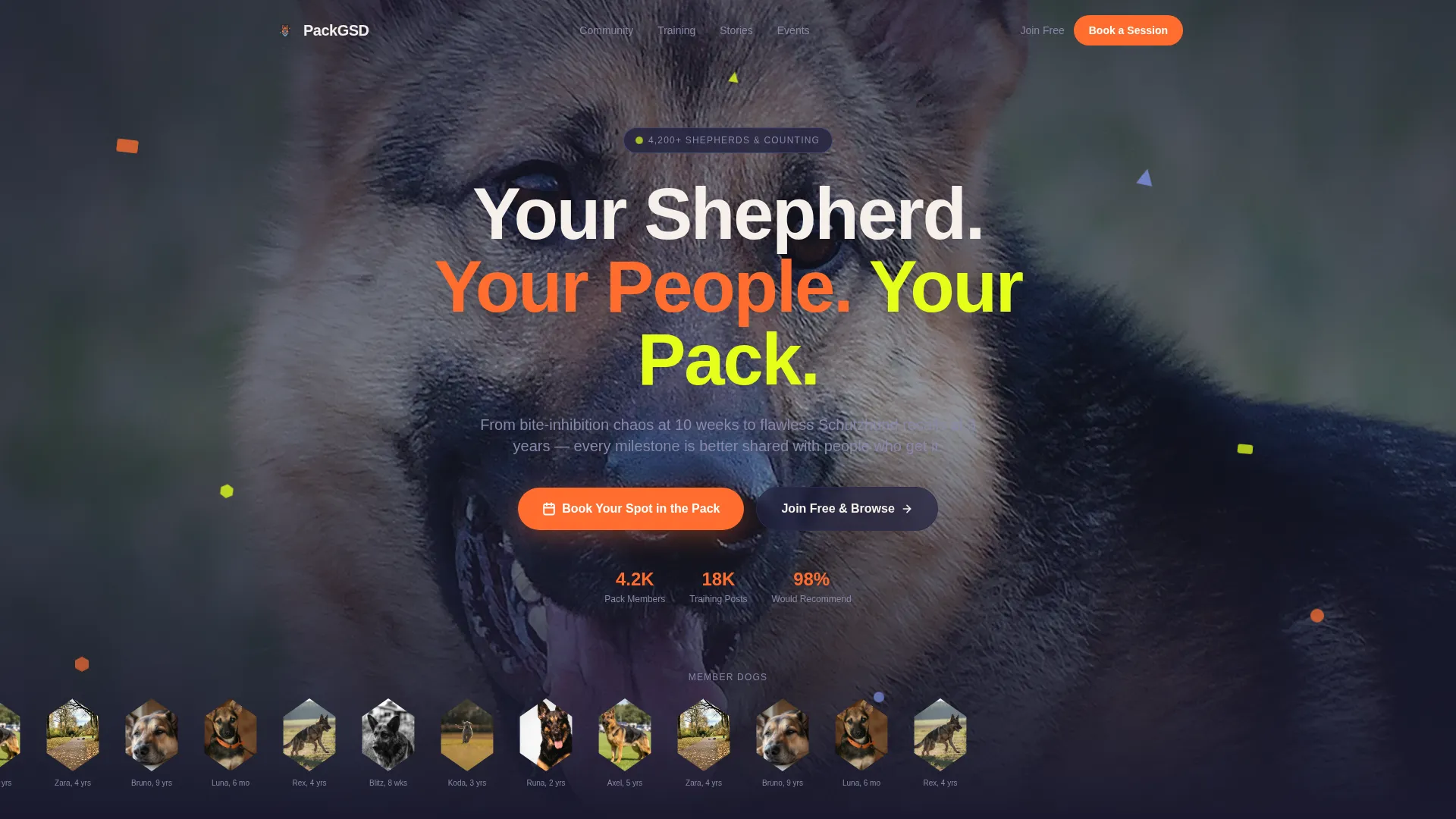 Dog Premium Booking Website Template