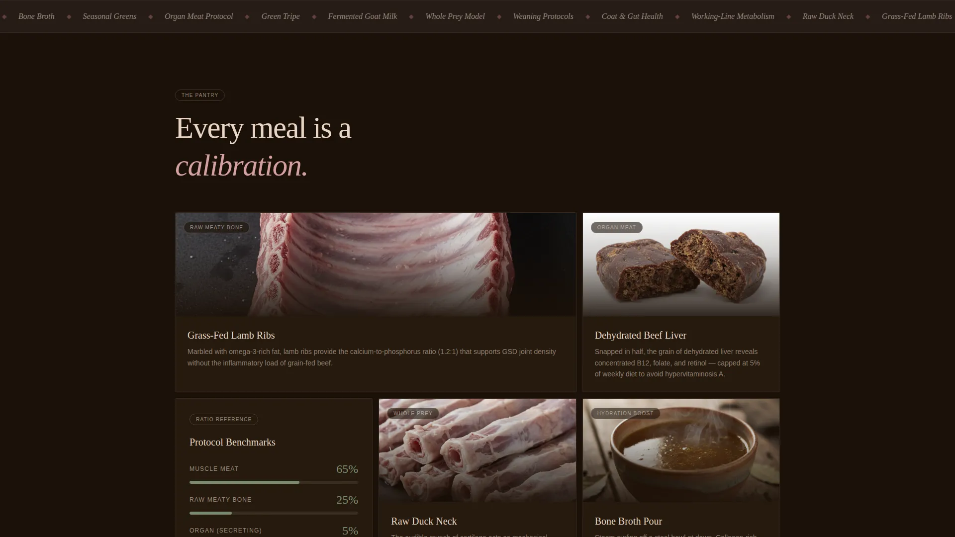 Dog Complete Booking Website Template