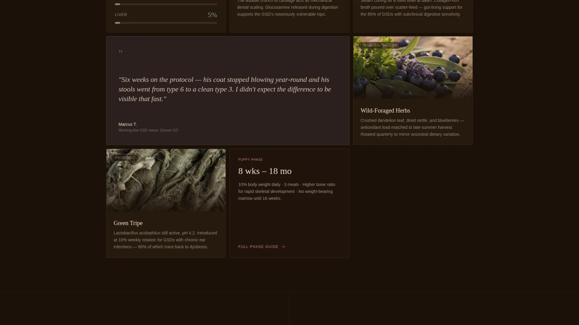 Dog Complete Booking Website Template