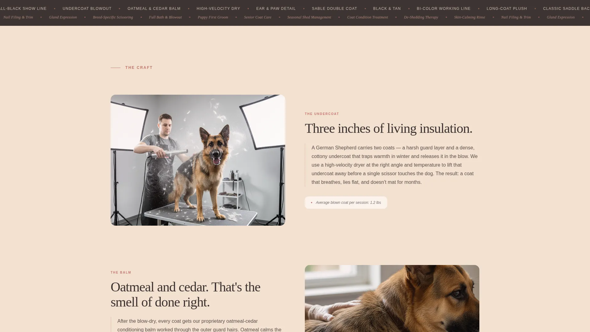 Dog Expert Booking Website Template