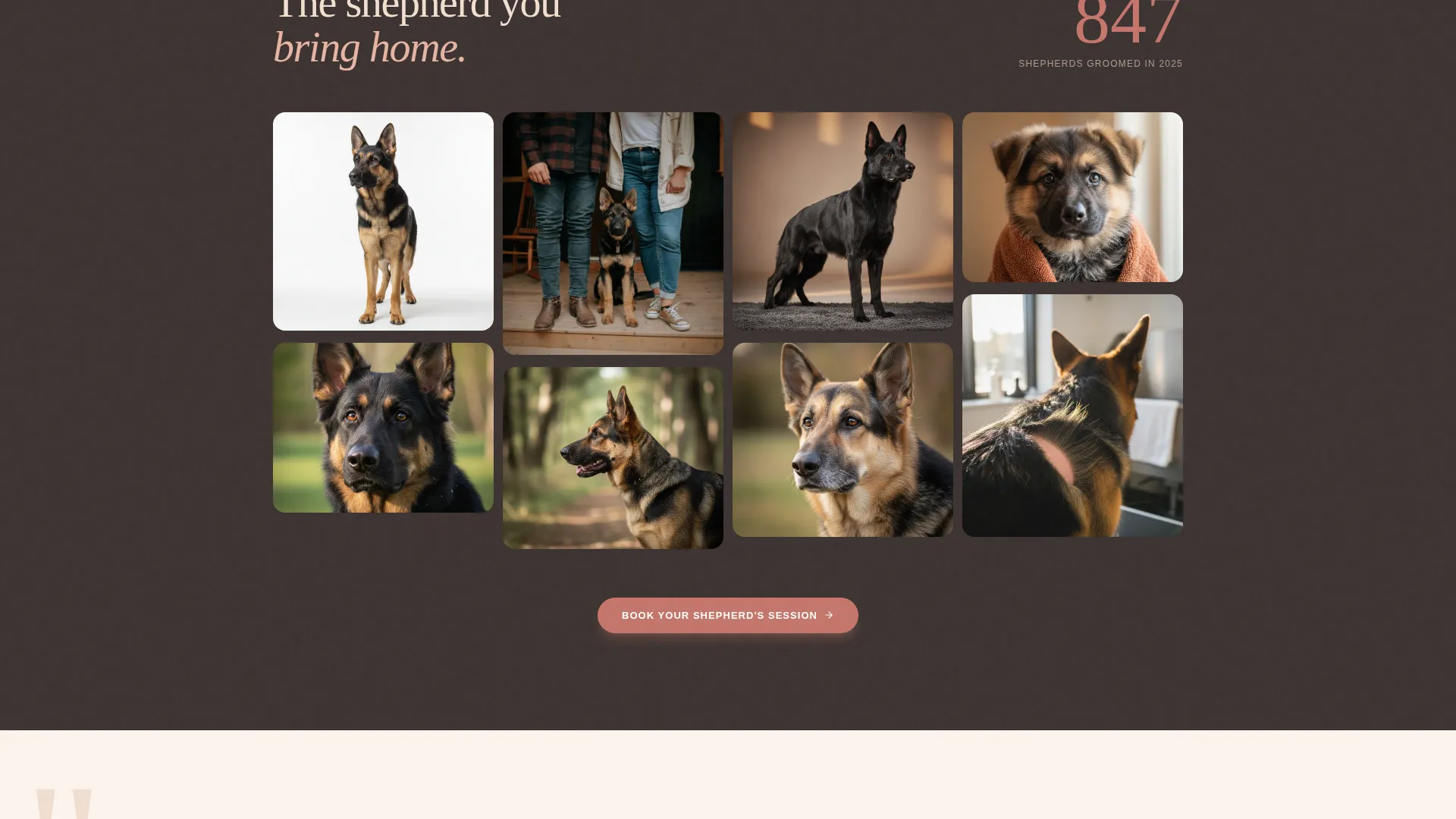 Dog Expert Booking Website Template