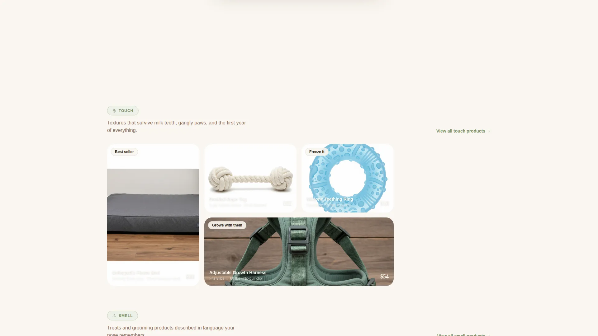 Dog Advanced Professional Website Template