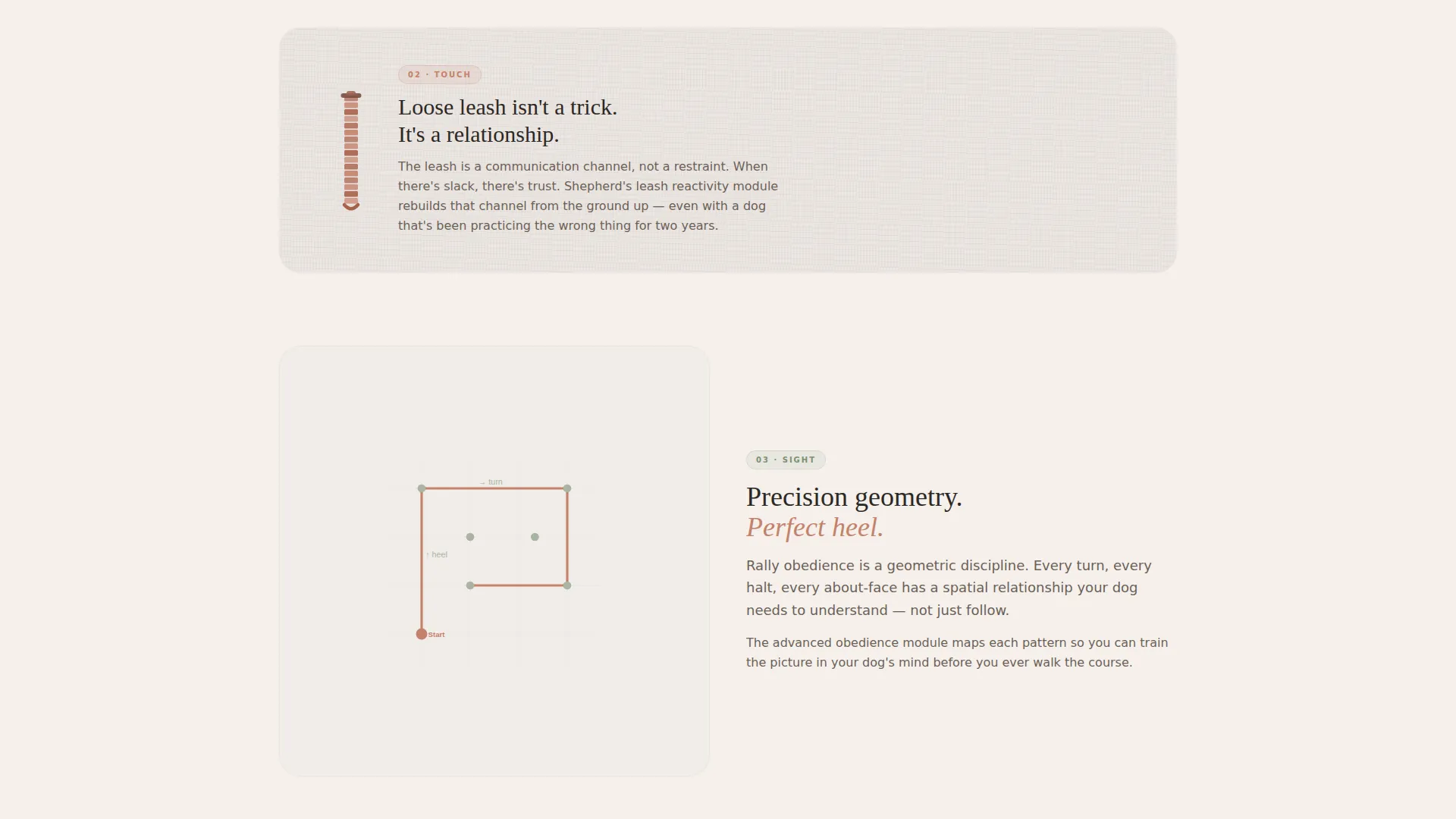 Dog Complete Professional Website Template