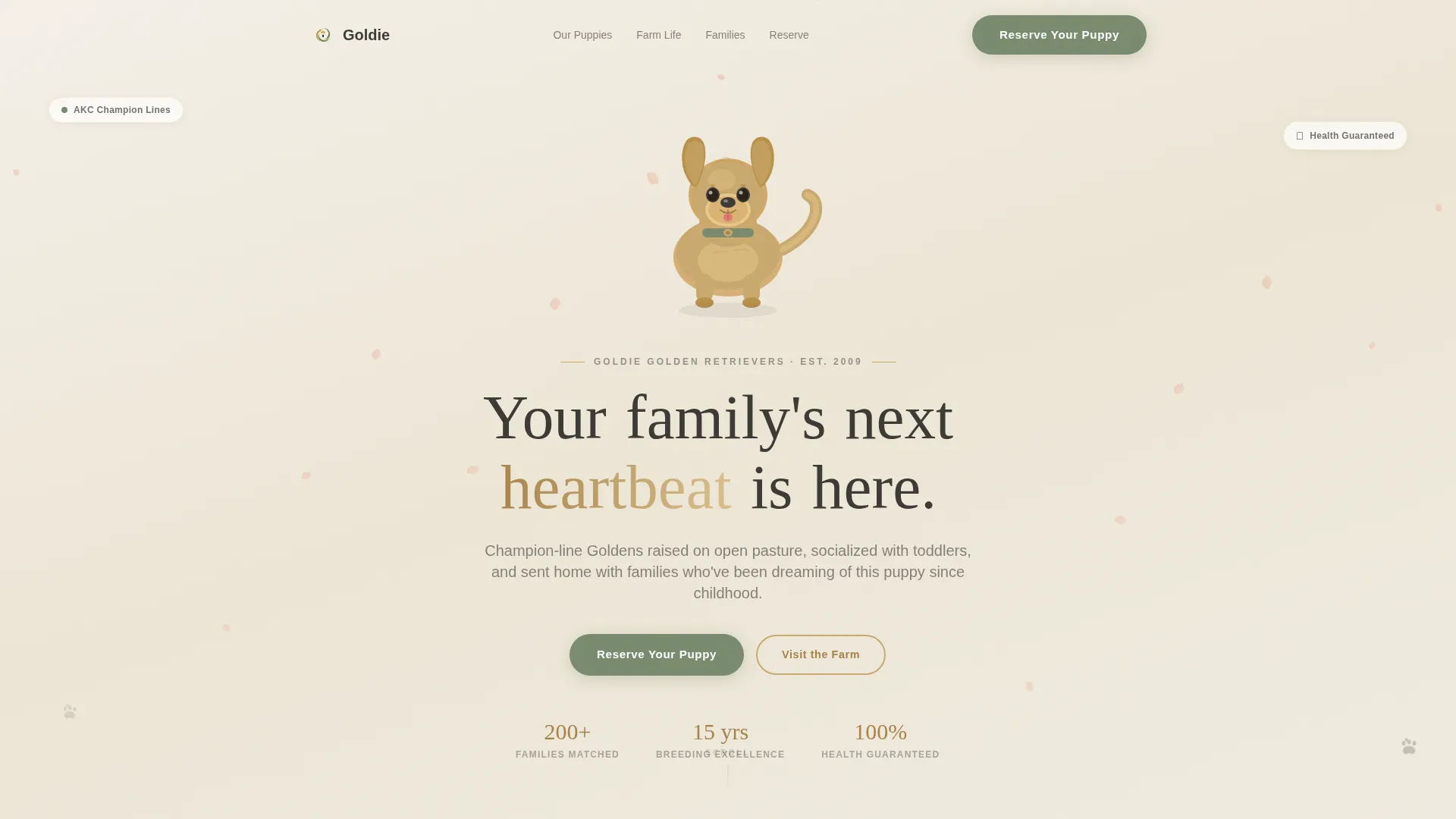Dog Local Booking Website Template