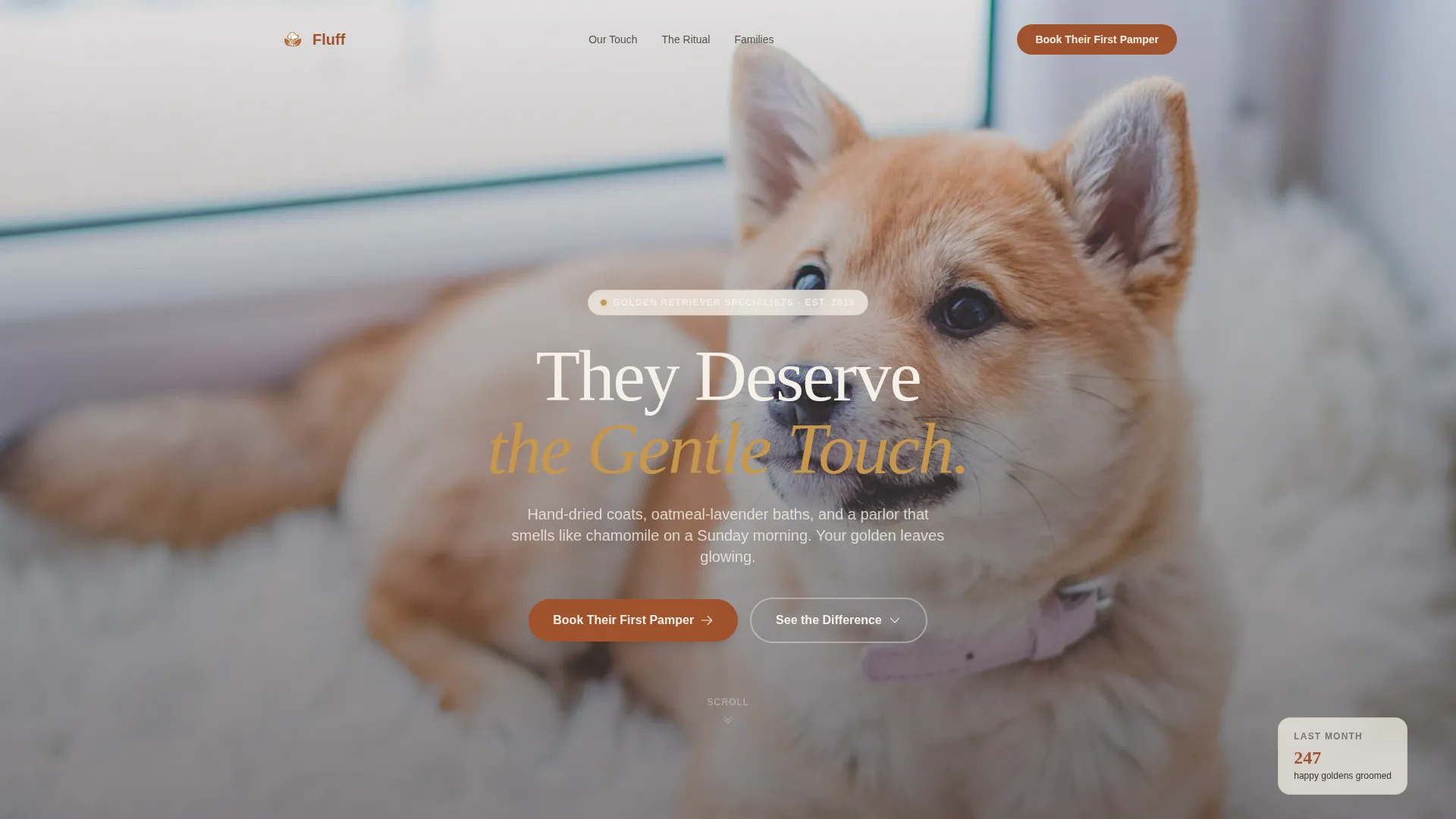Dog Online Professional Website Template