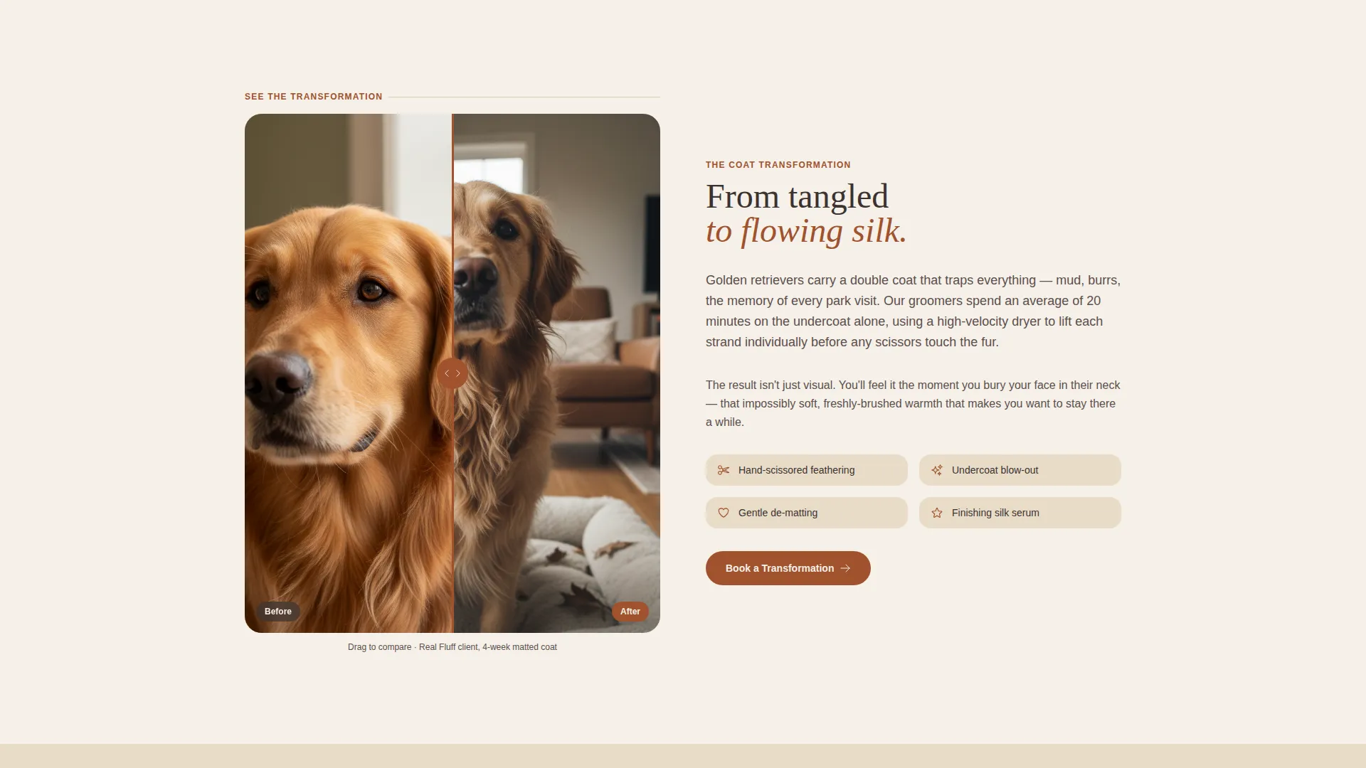 Dog Online Professional Website Template