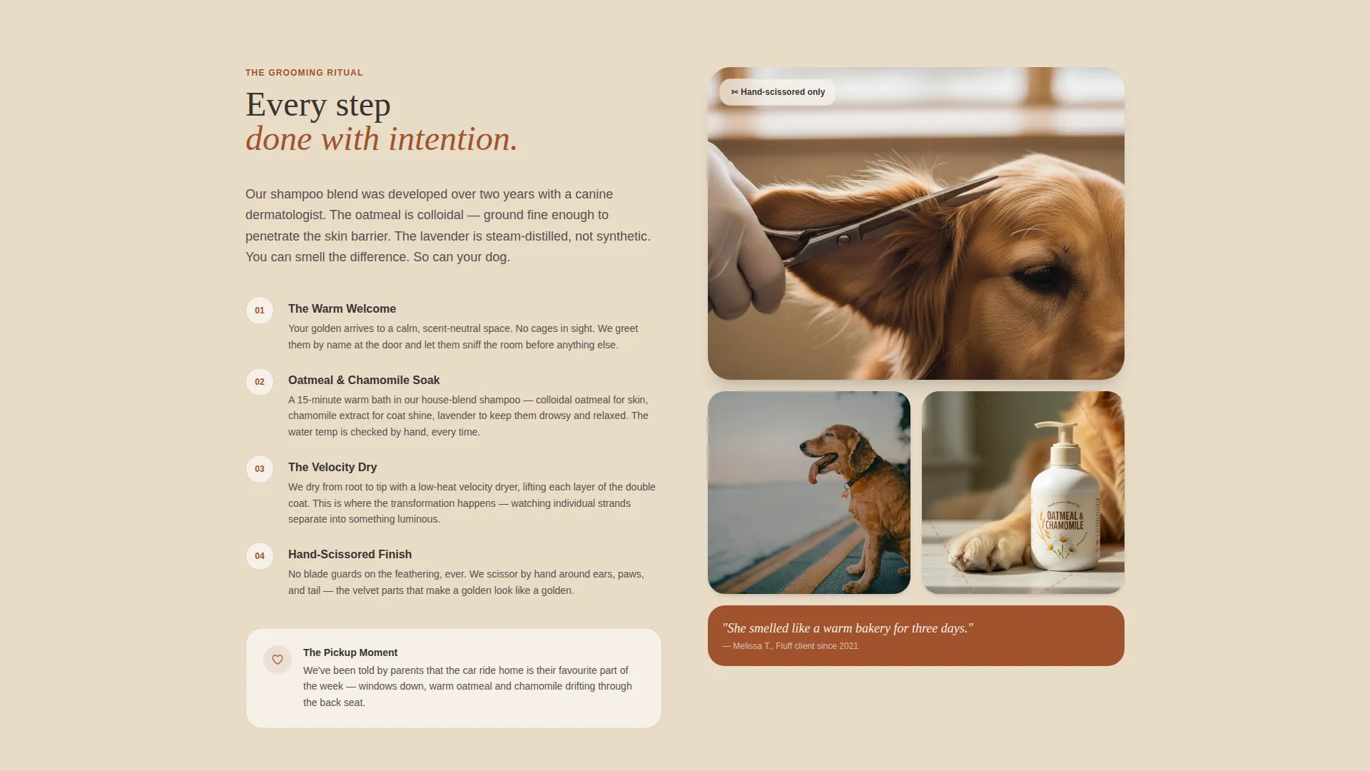 Dog Online Professional Website Template