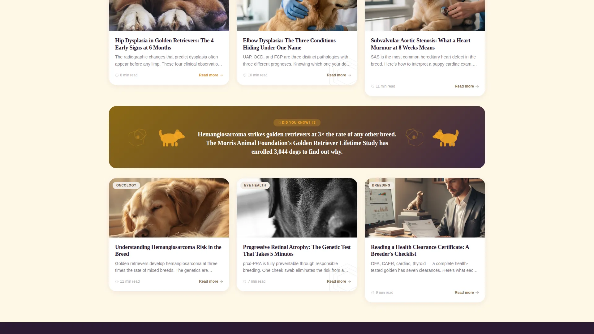 Dog Advanced Blog Website Template