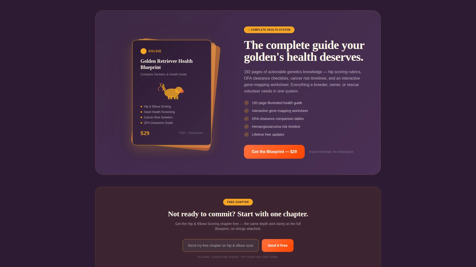 Dog Advanced Blog Website Template
