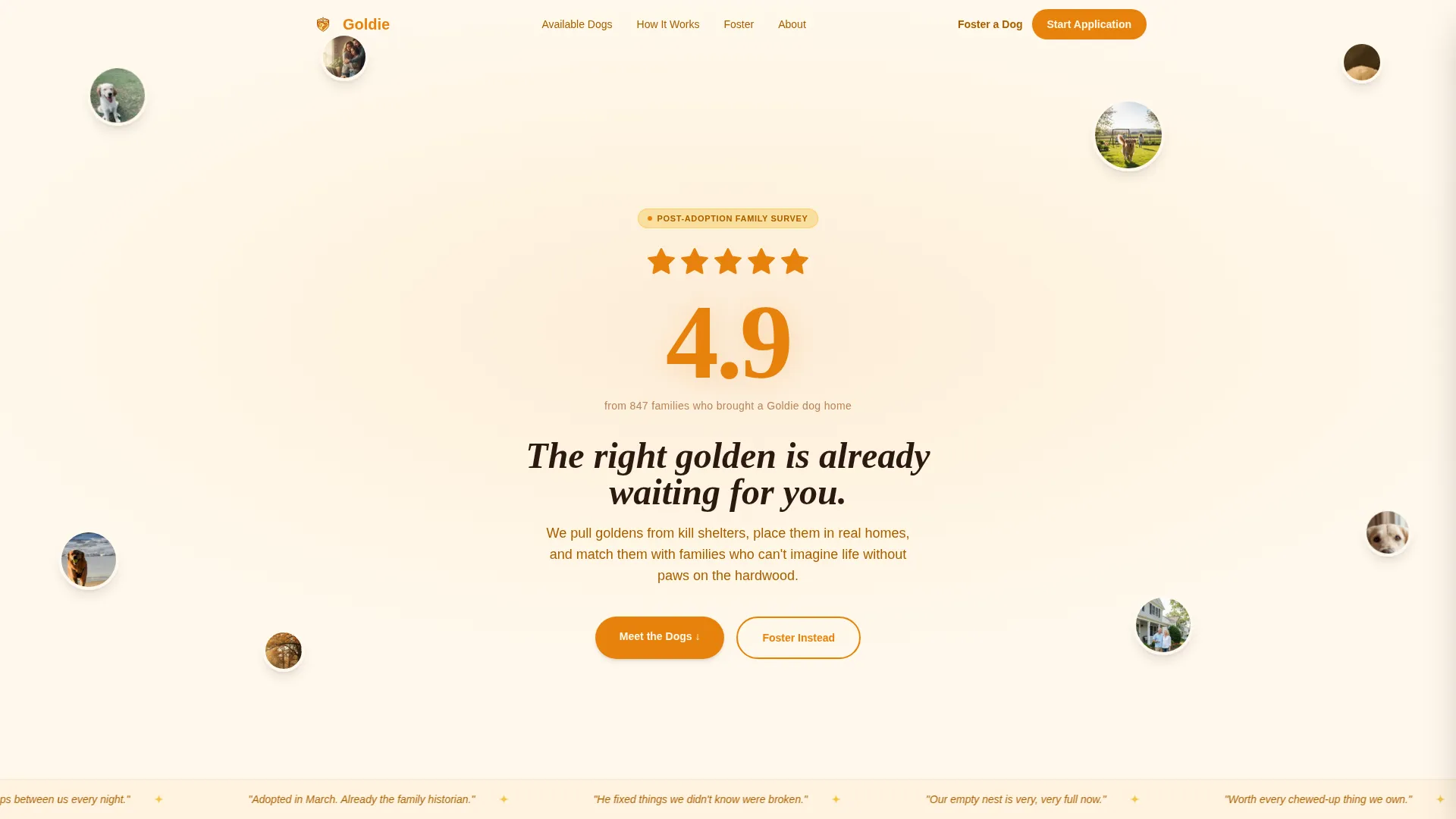 Dog Certified Professional Website Template