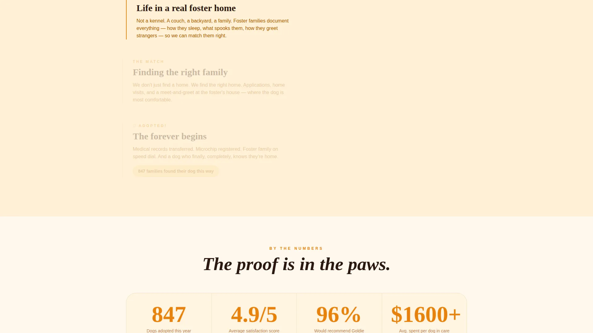 Dog Certified Professional Website Template