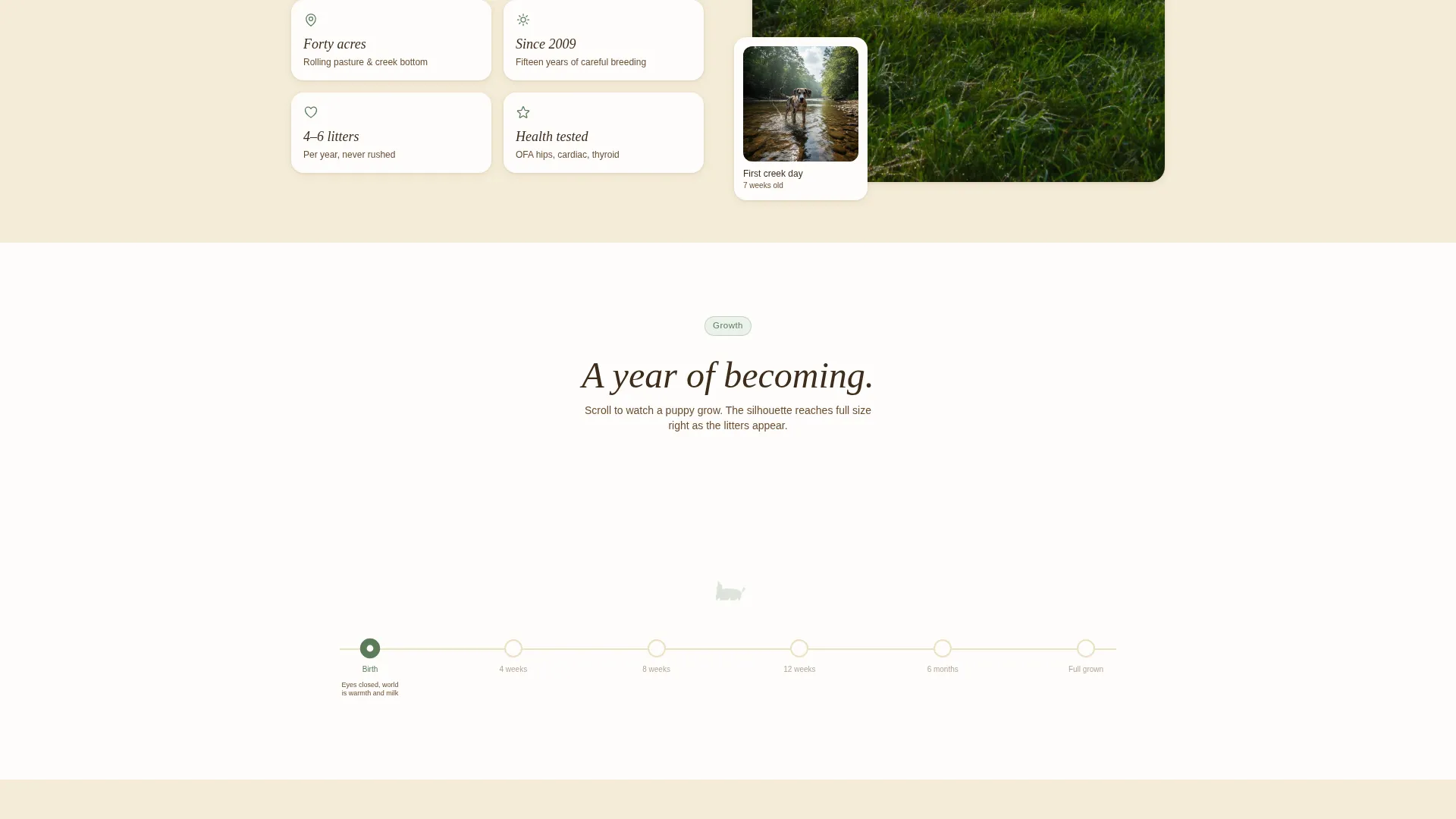 Great Dane Breeder Landing Page Template