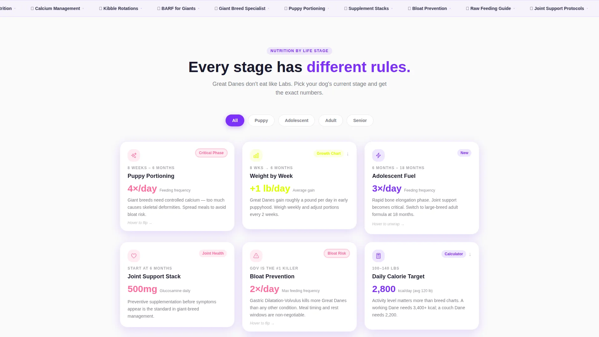 Modern Dane Landing Page Template