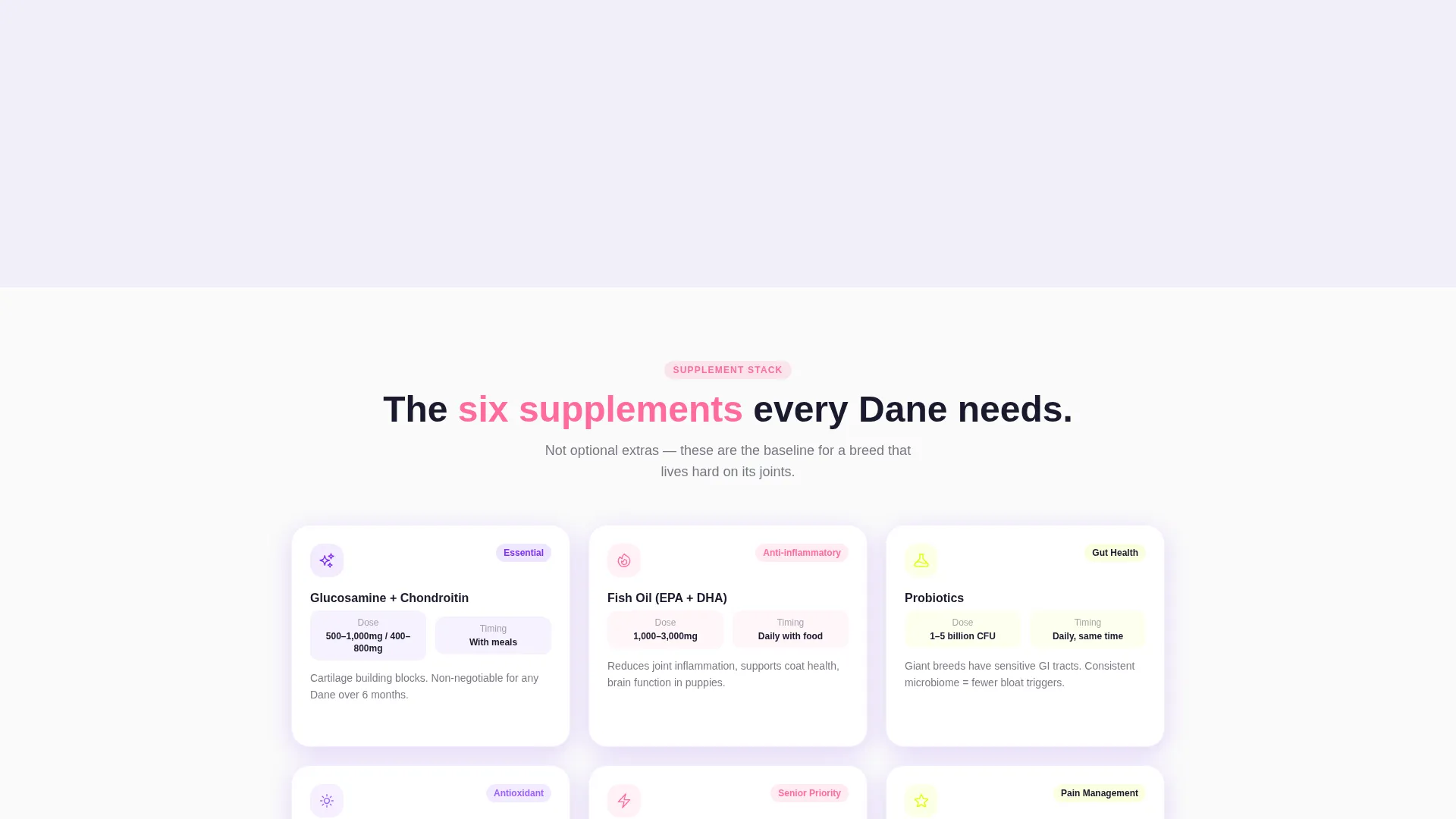 Modern Dane Landing Page Template