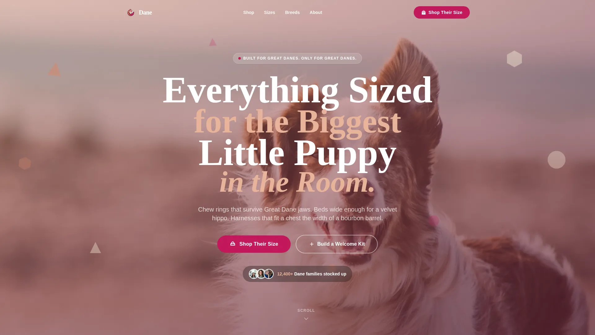 Great Dane Puppy Supplies Landing Page Template